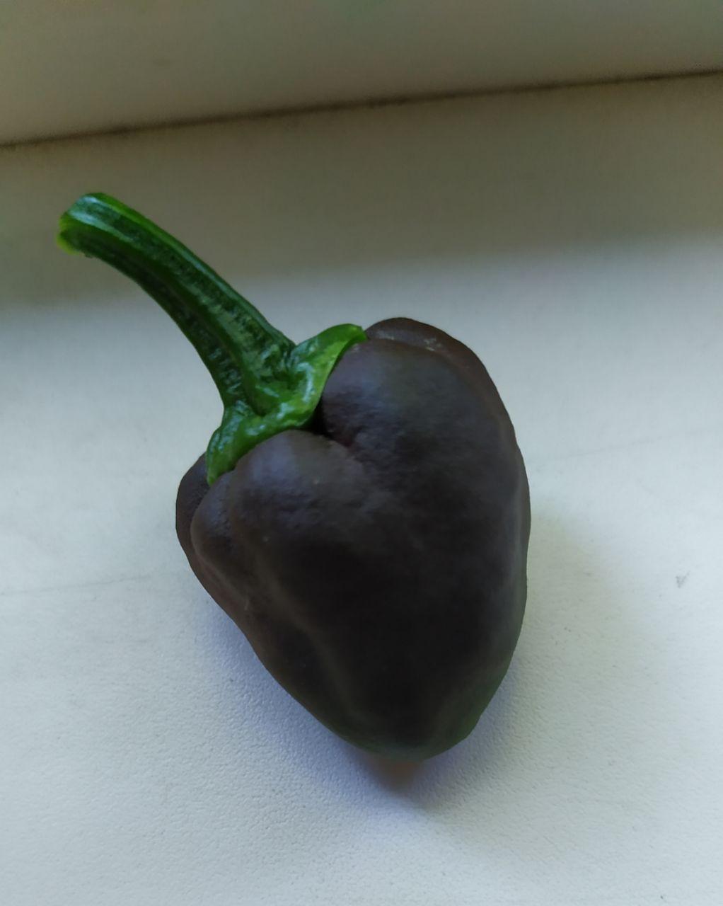 First harvest on the windowsill this year - My, Chilli, Hot peppers, Longpost