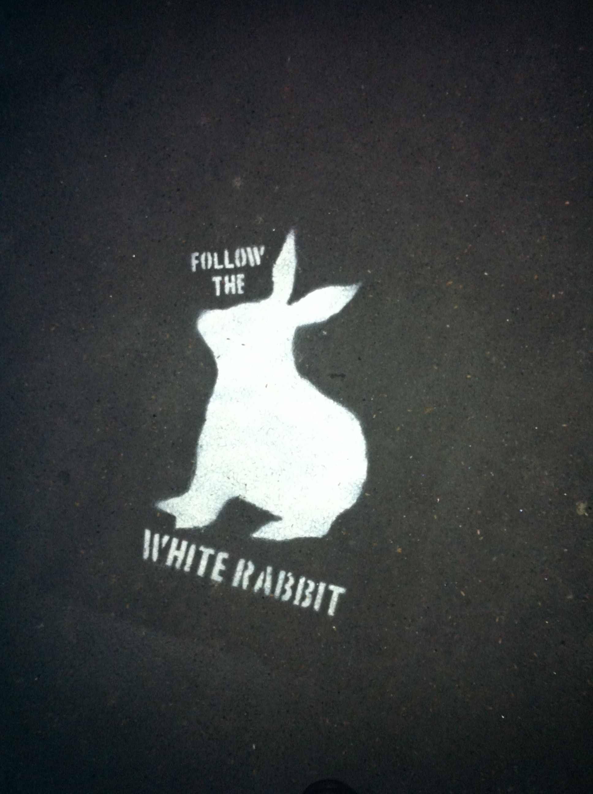 Follow the rabbit. Следую за белым куроликом. Следуй за белым кроликом. Следуйте за белым кроликом. Белый кролик матрица.