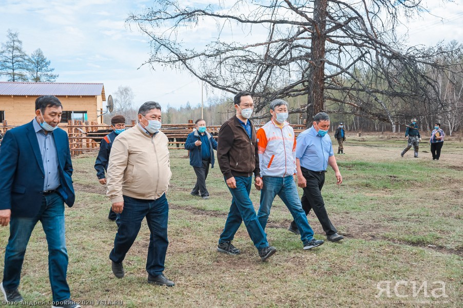 Head of Yakutia: “Restoring the population of Yakut cattle is one of the basic tasks of agriculture” - Yakutia, Сельское хозяйство, Aisen Nikolaev, Longpost