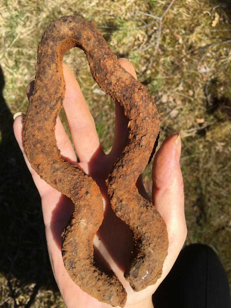 What is this? - Find, Forest, Forging, History (science), Longpost, What's this?