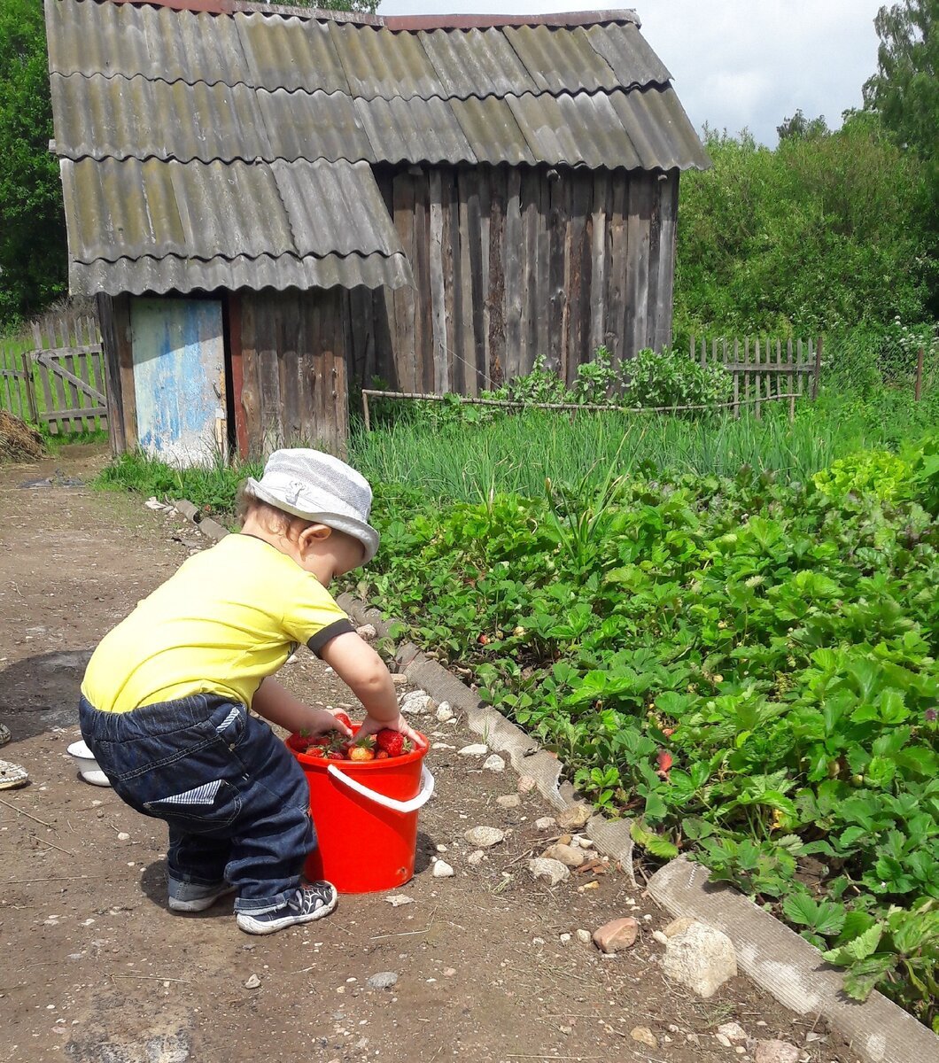 Чтобы отучить жителей деревни ходить через наш участок, мы повесили замки |  Пикабу