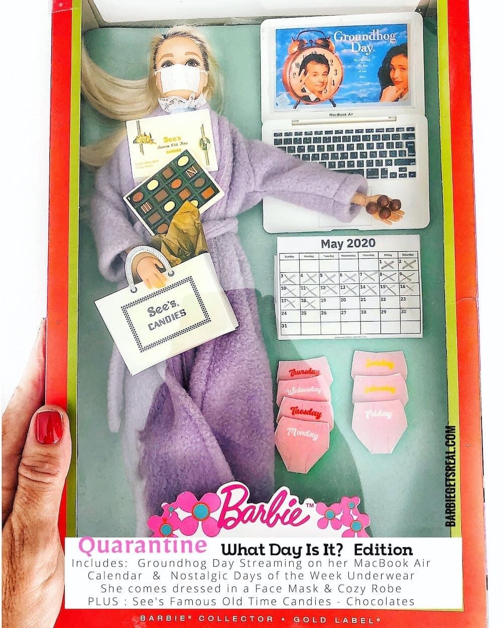 New quarantine Barbie... - Barbie, Quarantine, Self-isolation, Longpost