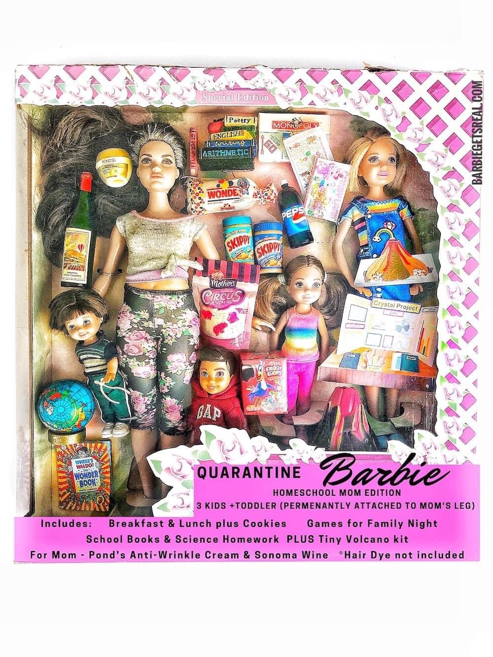 New quarantine Barbie... - Barbie, Quarantine, Self-isolation, Longpost