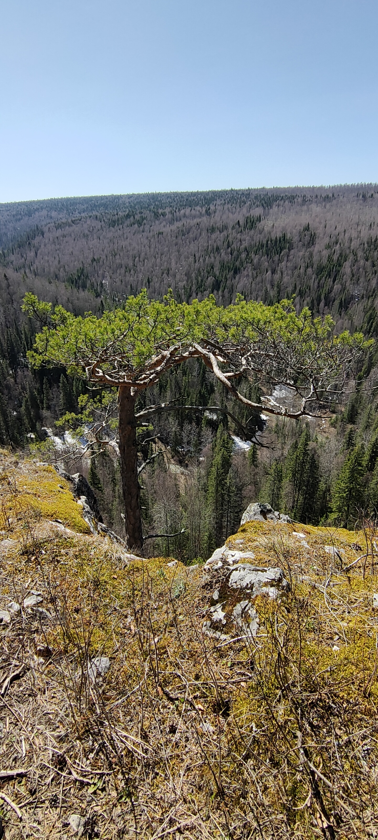 Solo hike to the Chudesnitsa cave - My, Ural, Hike, Perm Territory, Lysva, Chusovaya River, Tracking, Solo hike, Video, Longpost