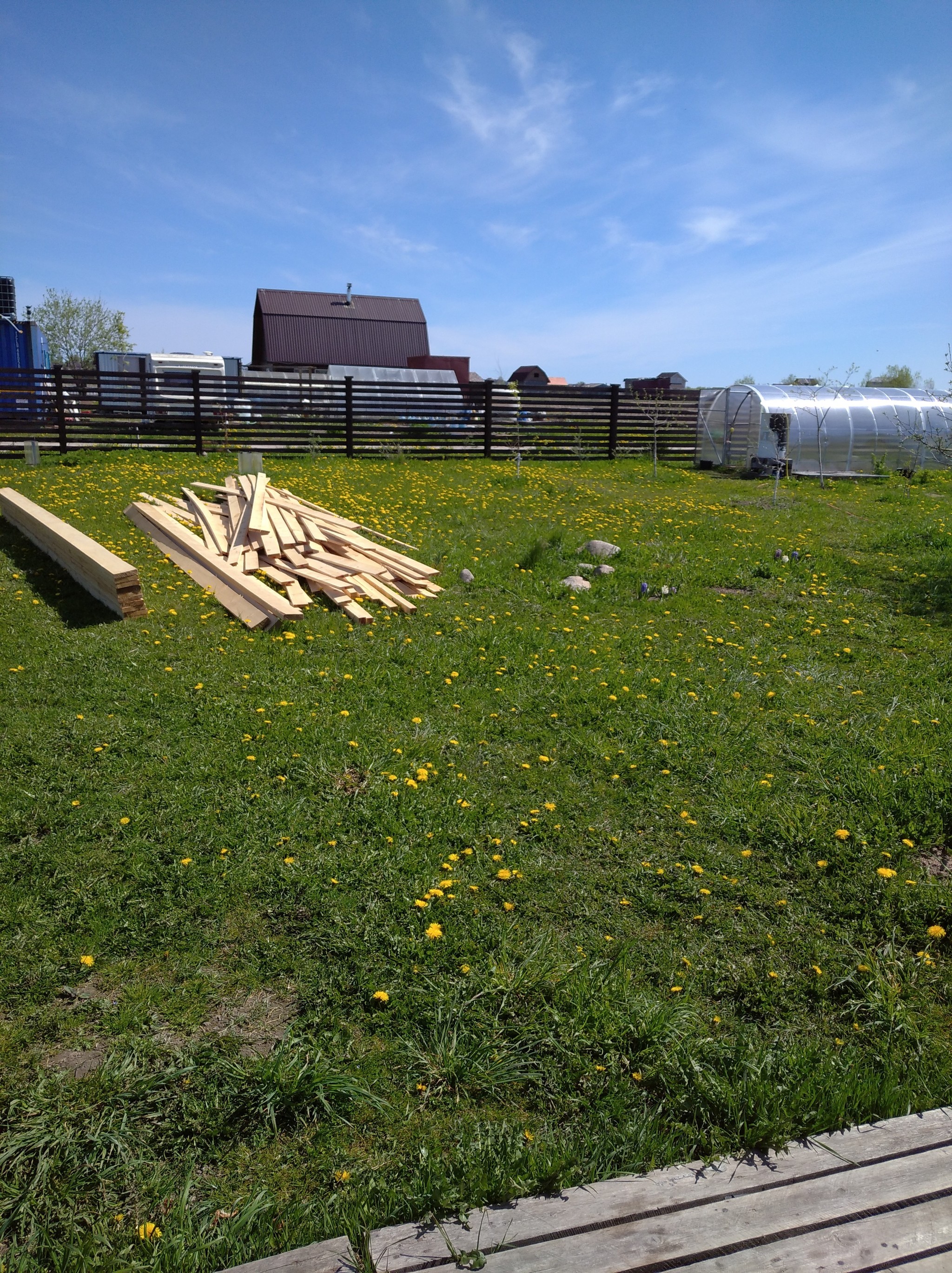 Country house - My, Dacha, beauty, Longpost, Dandelion