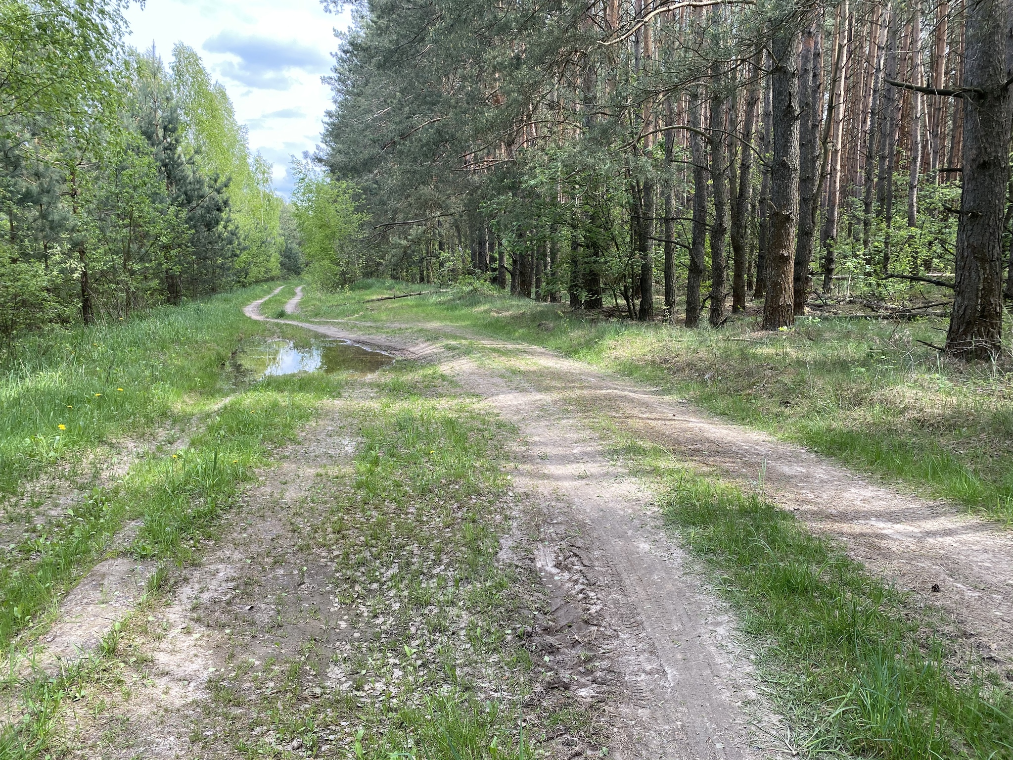 Belarus - Magadan by bicycle. 1,100 out of 10,000 km. Part 1 - My, A bike, Travels, Magadan, Republic of Belarus, Chelyabinsk, Omsk, Novosibirsk, Saratov, Longpost