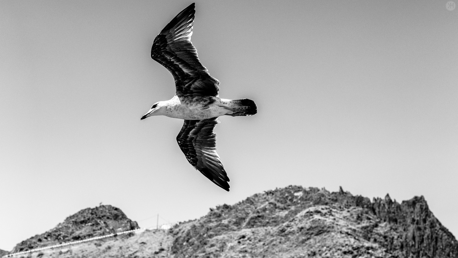 Canary Islands | Spain | 2016 - My, Nikon, Canary Islands, Spain, Black and white, Longpost