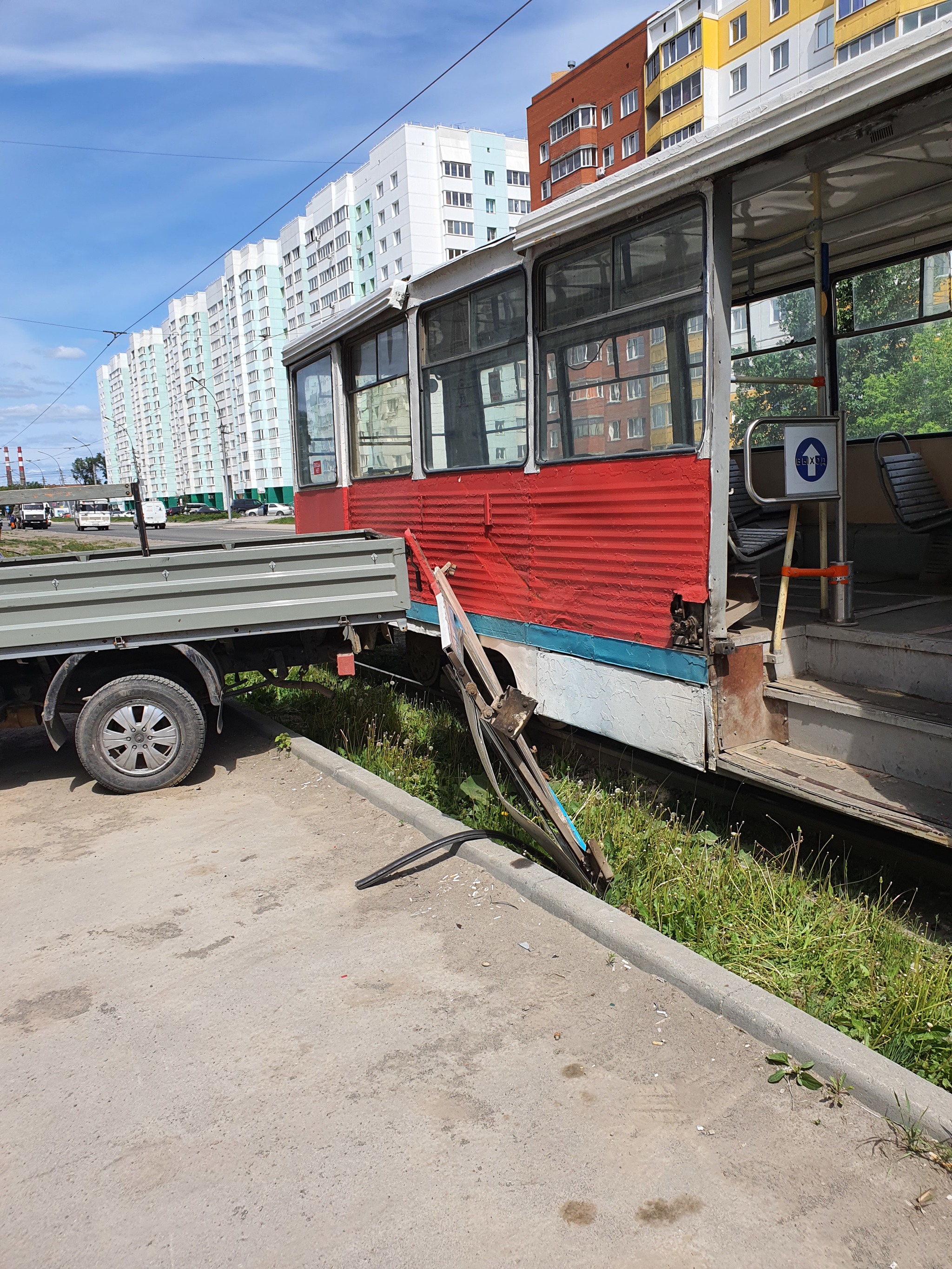 Gazelle vs tram - My, Gazelle, Tram, Longpost