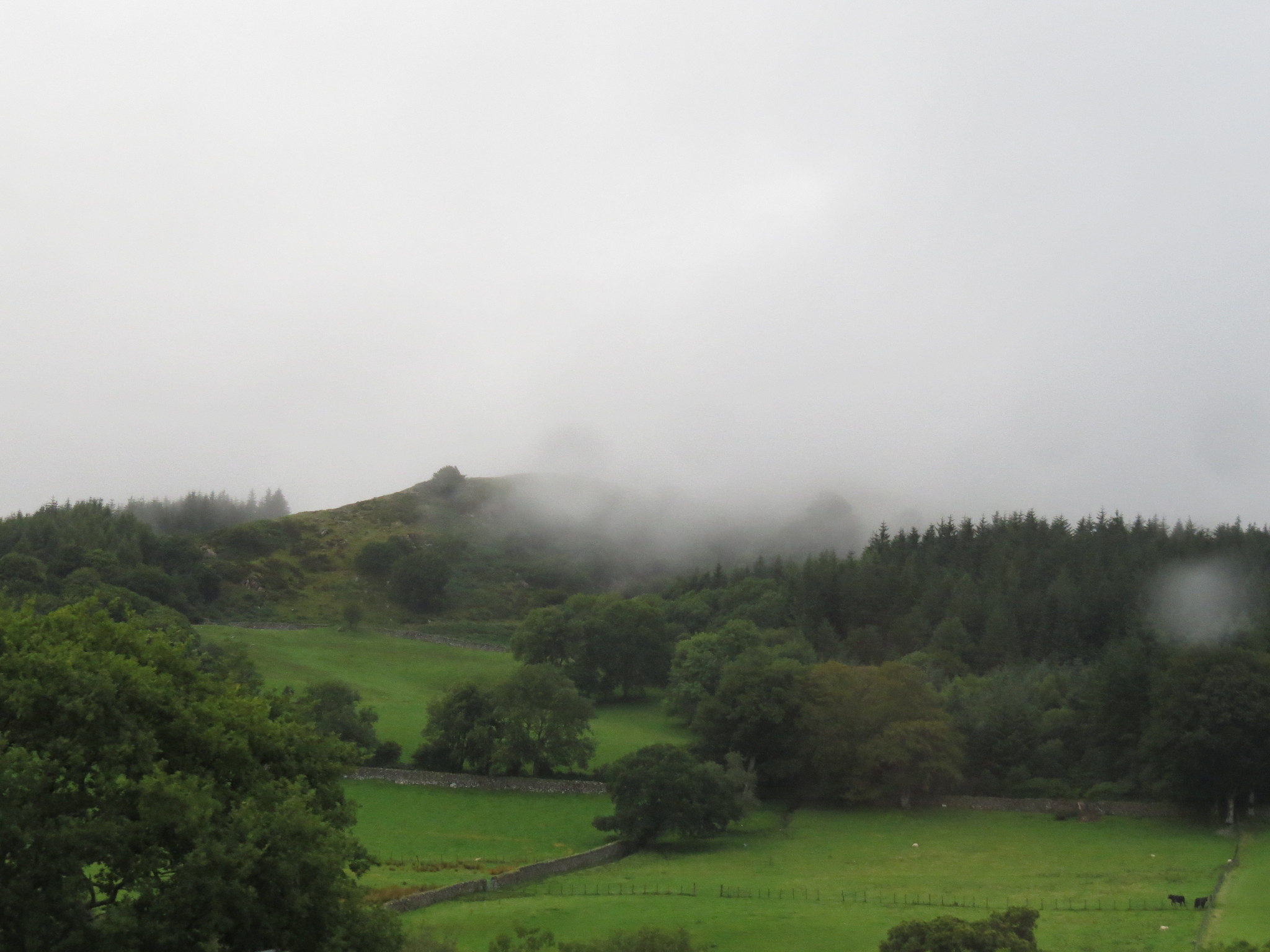 Nature of Wales (UK) - My, Wales, Great Britain, Nature, Longpost, Landscape, The photo