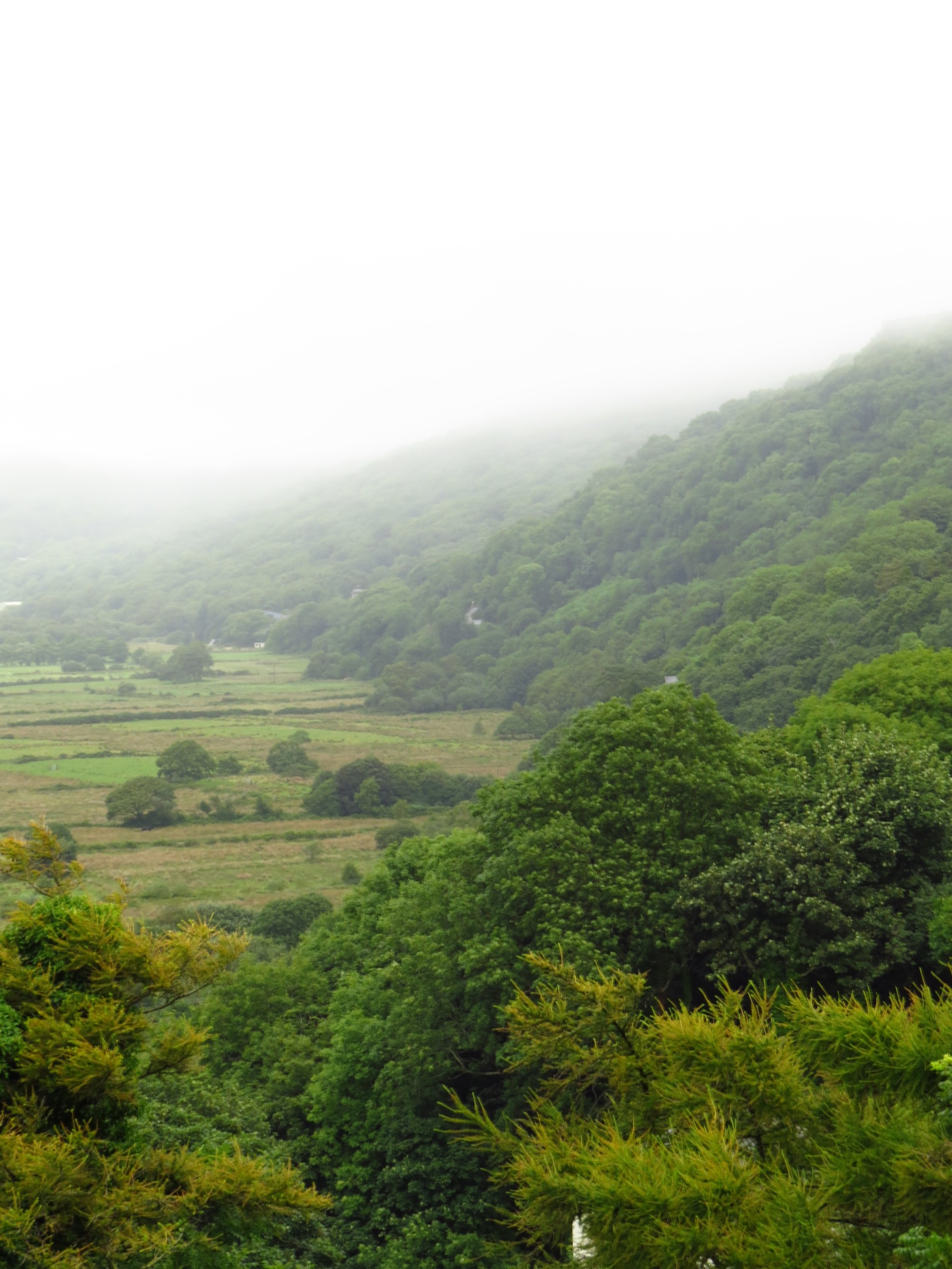 Nature of Wales (UK) - My, Wales, Great Britain, Nature, Longpost, Landscape, The photo