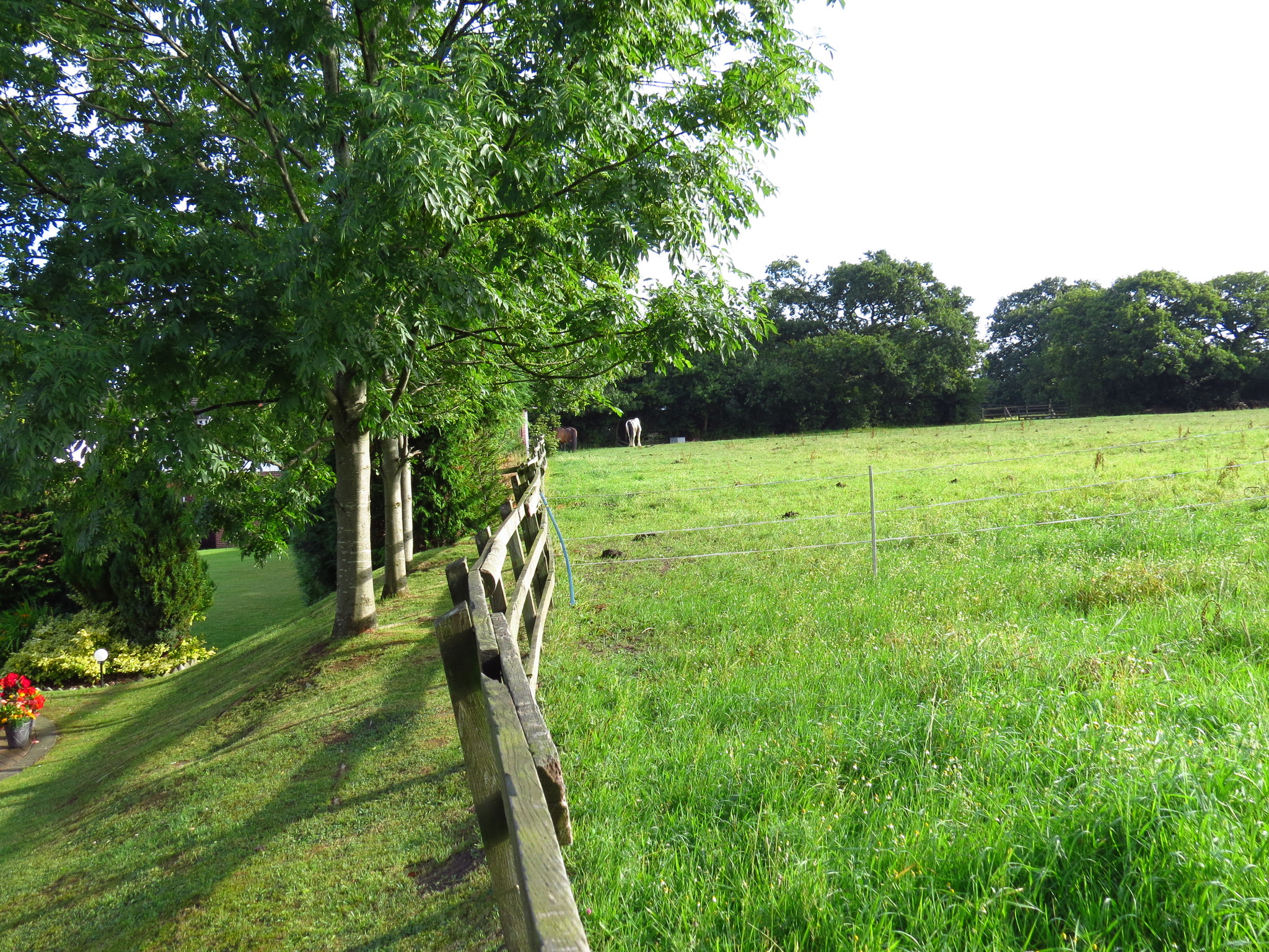 Nature of Wales (UK) - My, Wales, Great Britain, Nature, Longpost, Landscape, The photo