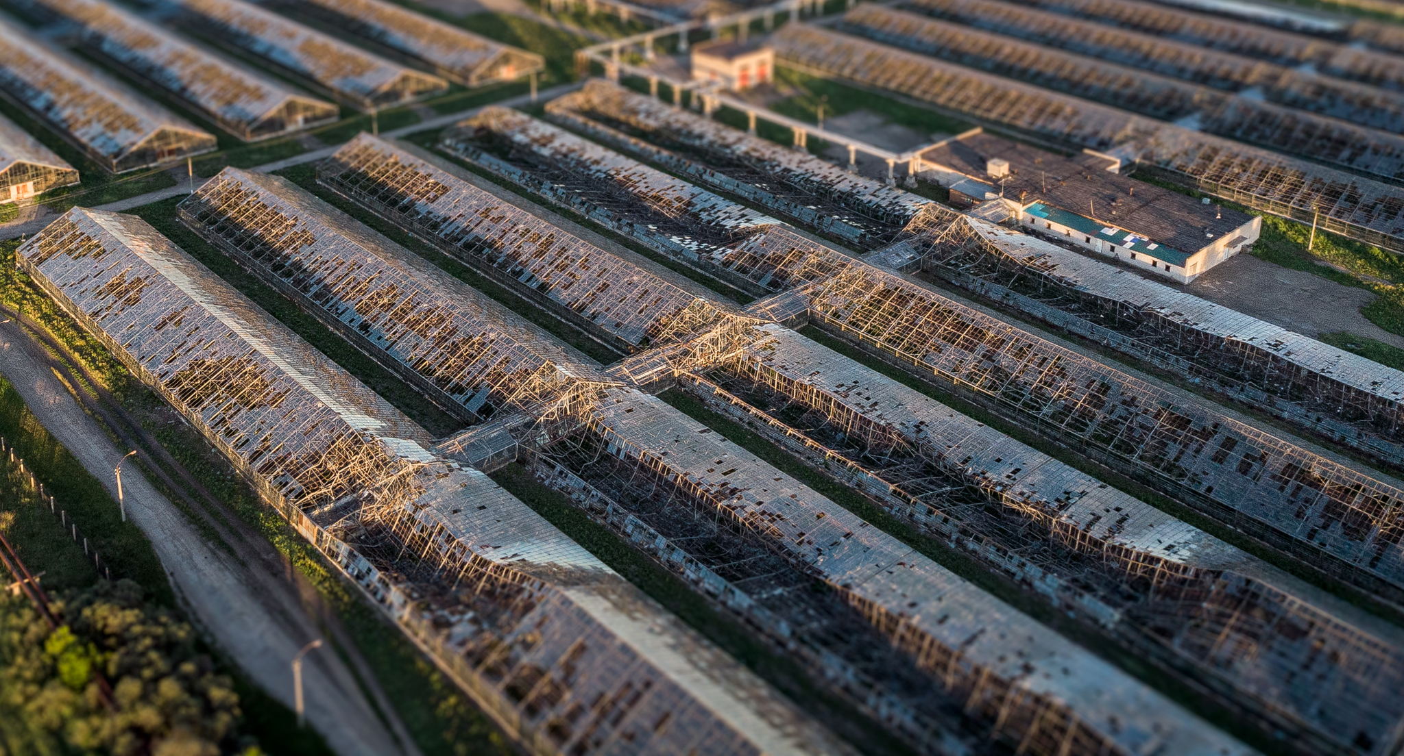 The largest greenhouse complex in the Altai Territory - My, The photo, Drone, Greenhouse, Devastation, Abandoned, Barnaul