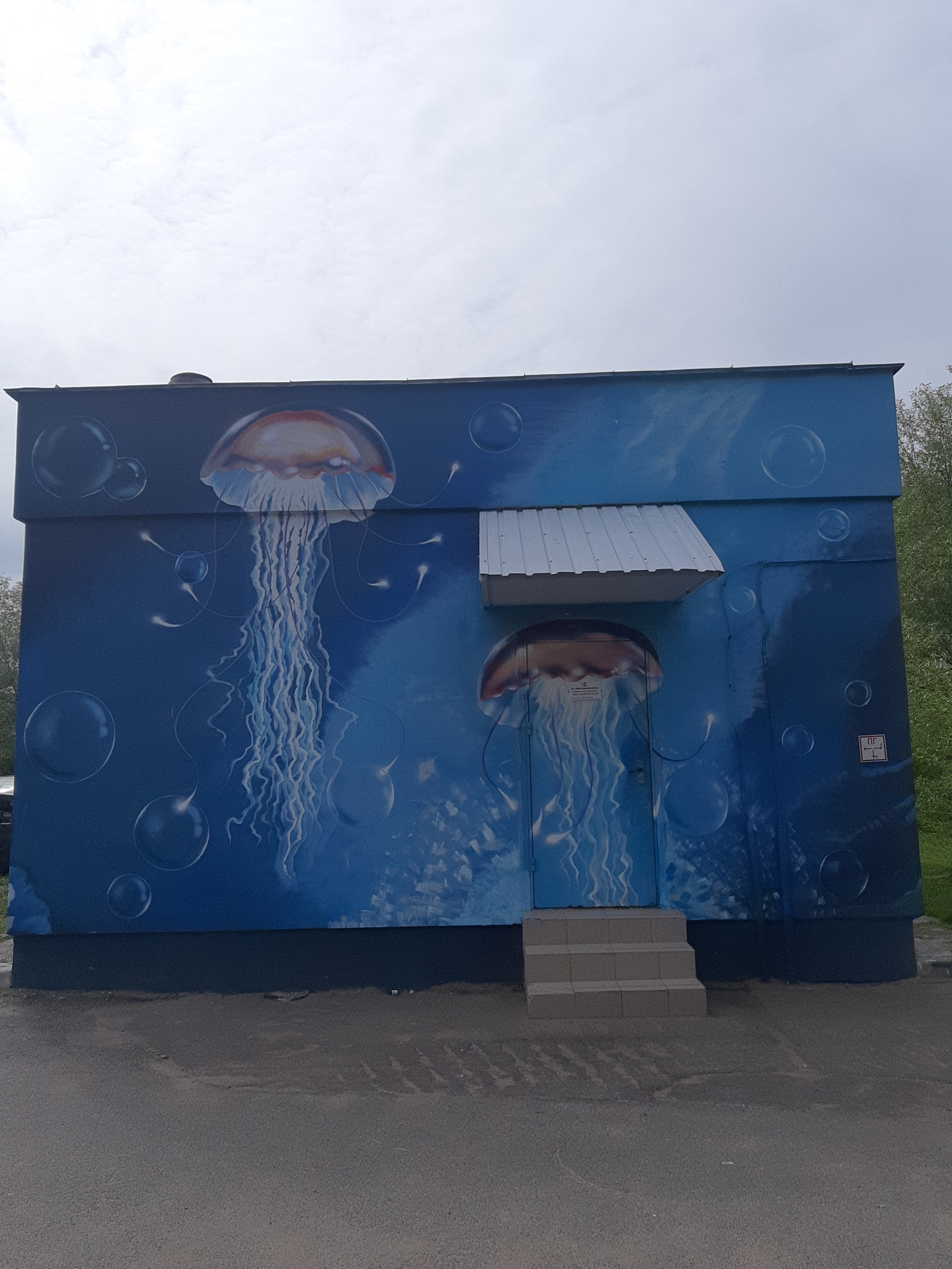 Jellyfish) - Graffiti, Republic of Belarus, beauty, Minsk