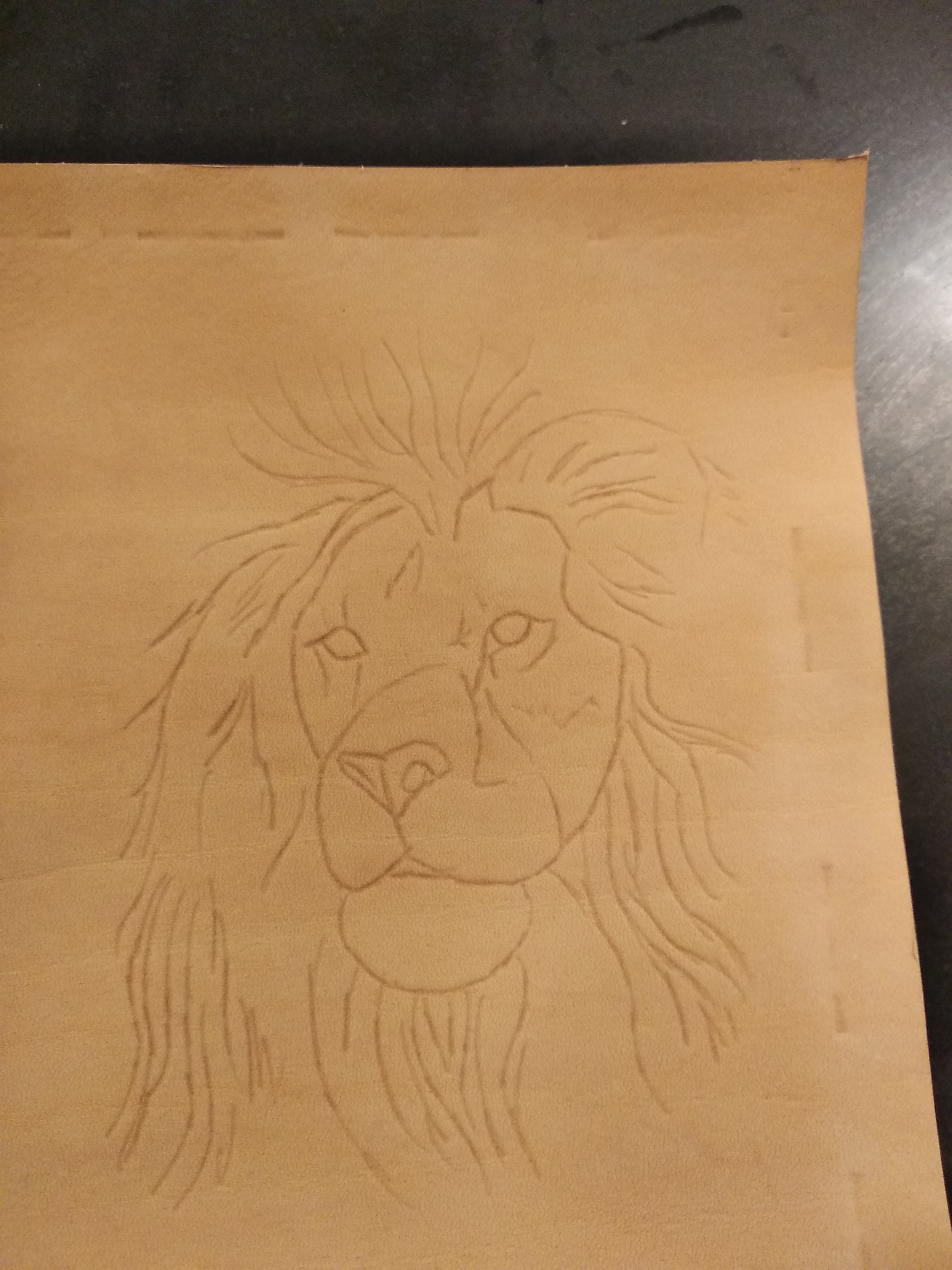 Lion's try! - My, The lion king, Needlework without process, With your own hands, Needlework, Longpost