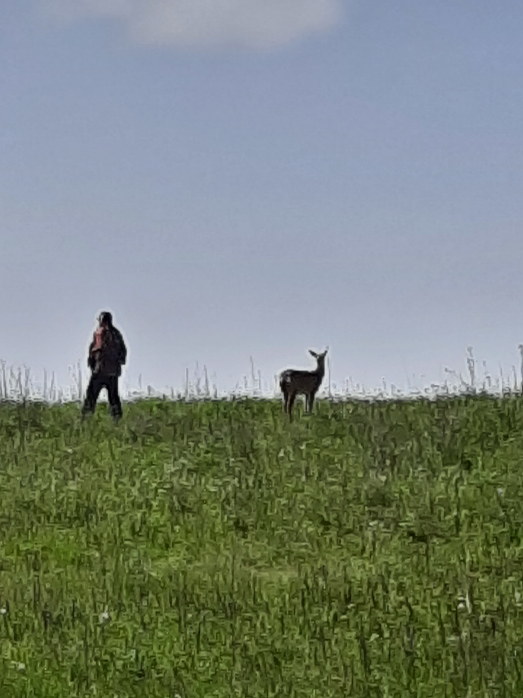 Walking with a deer - My, Animals, Walk, Longpost, Mobile photography