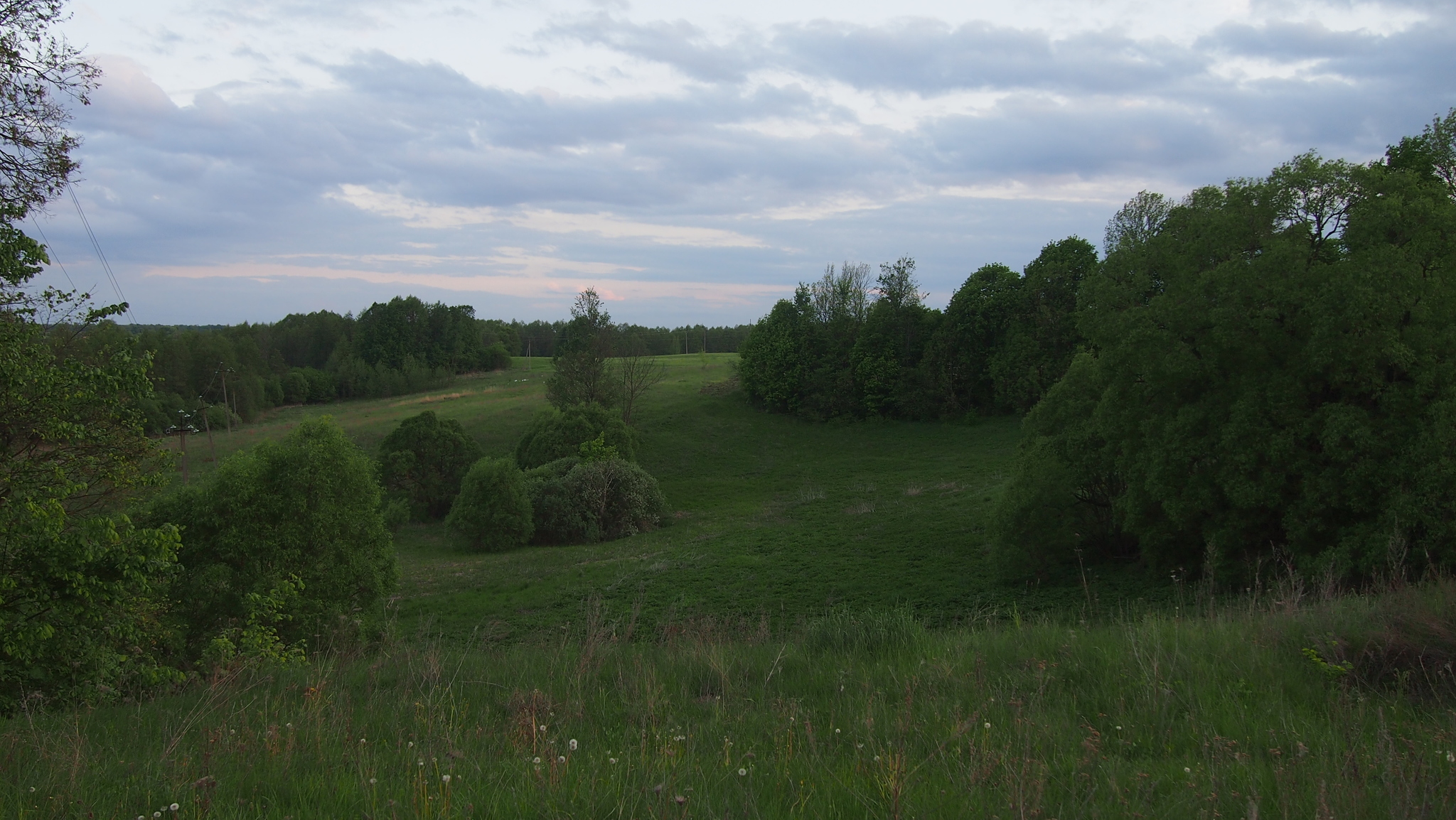 Just a photo - My, The photo, Clouds, Nature, Front, Longpost