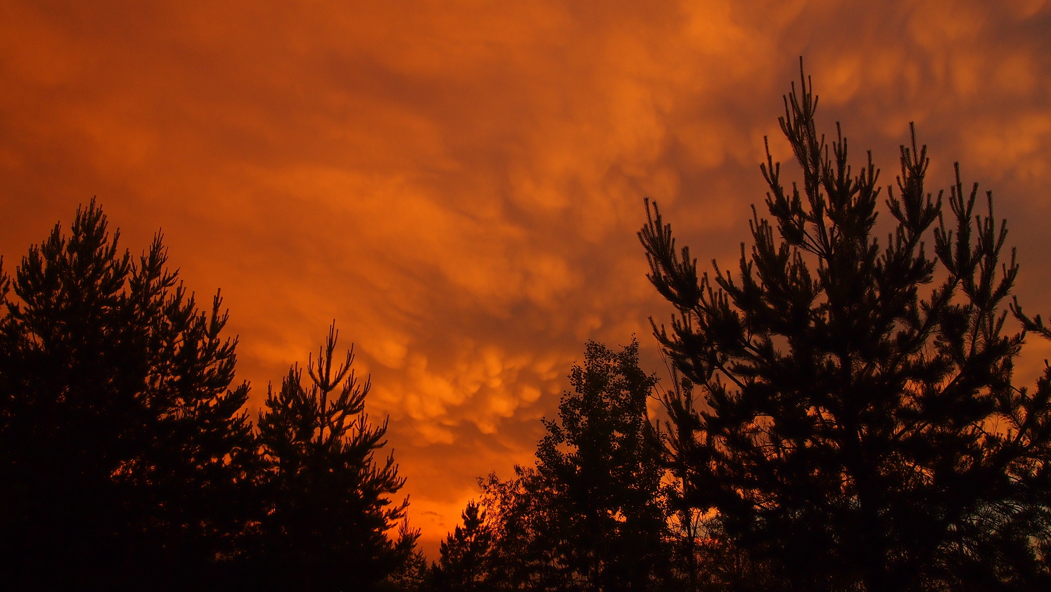 Just a photo - My, The photo, Clouds, Nature, Front, Longpost