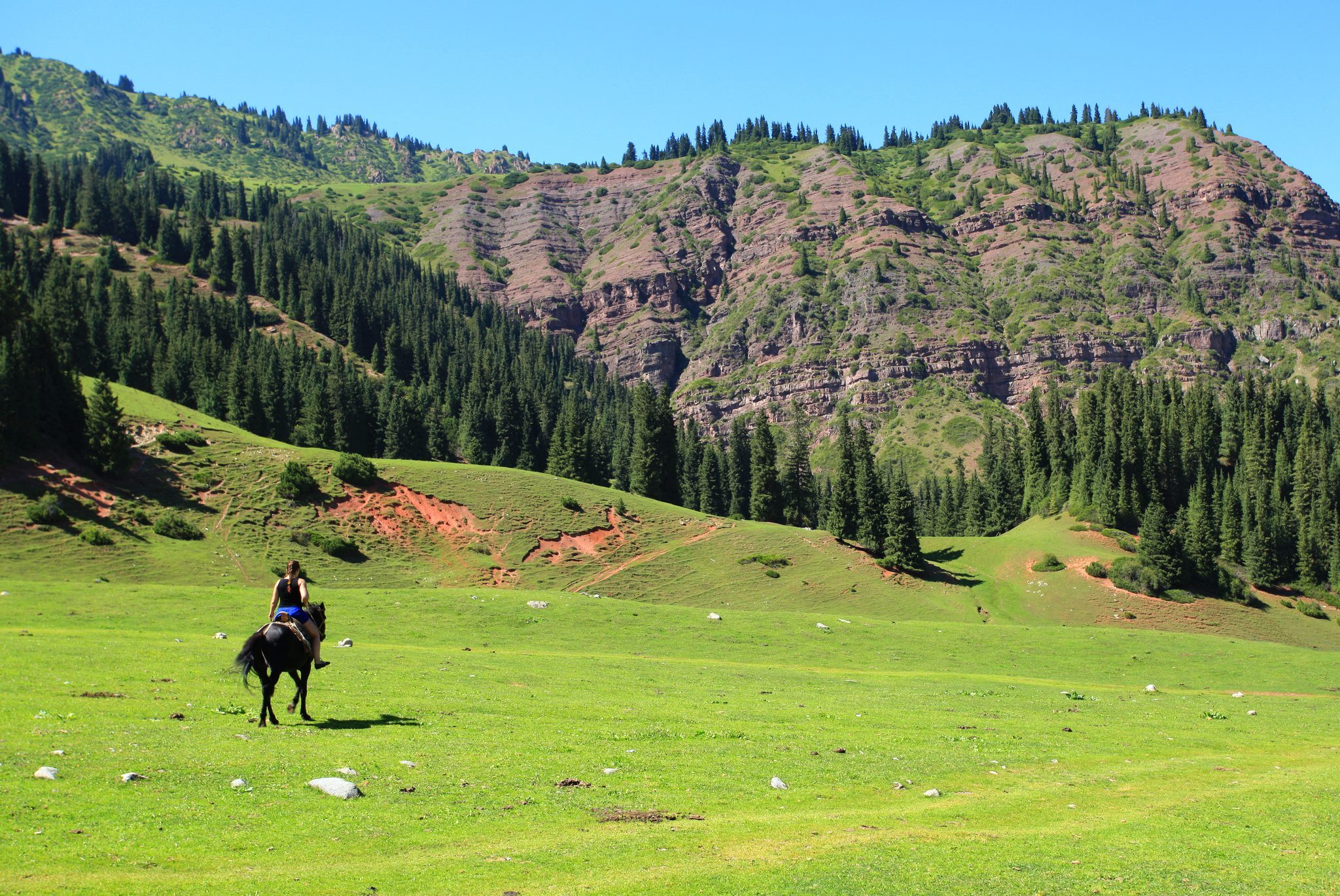 Reply to the post “My Uzbekistan. The story of escaping from the country - My, Kyrgyzstan, Relocation, Moving to Russia, Bishkek, Revolution, Childhood, Reply to post, Longpost