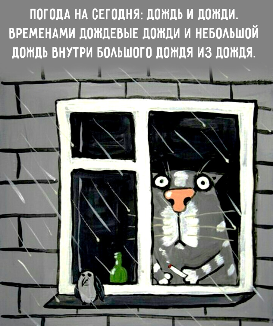 Briefly about the weather... - Vasya Lozhkin, Weather, Humor, cat, Picture with text