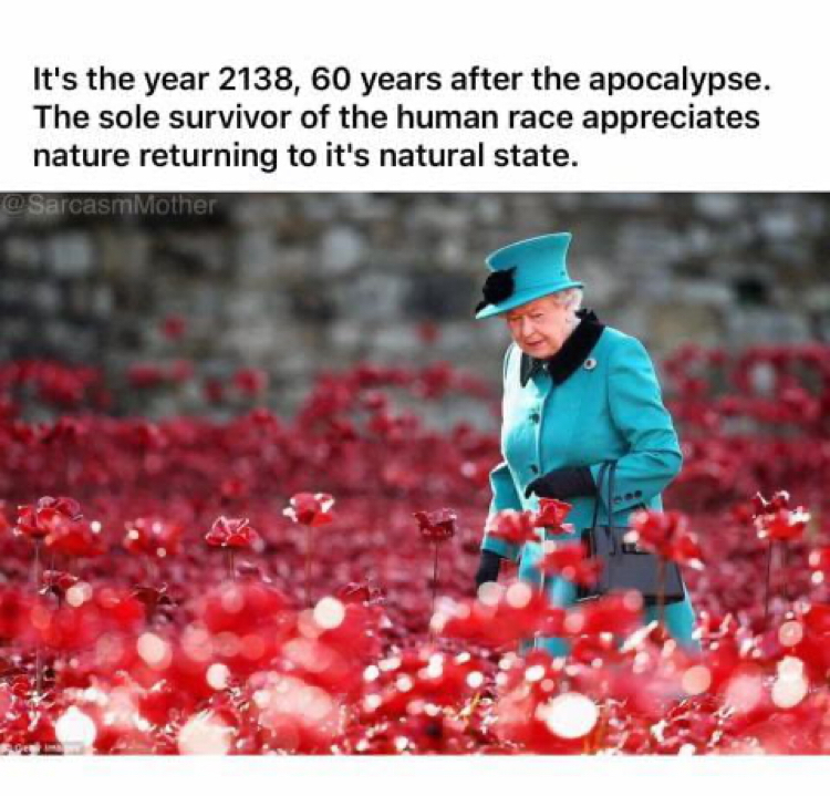 Year 2138... - Humor, 9GAG, Queen