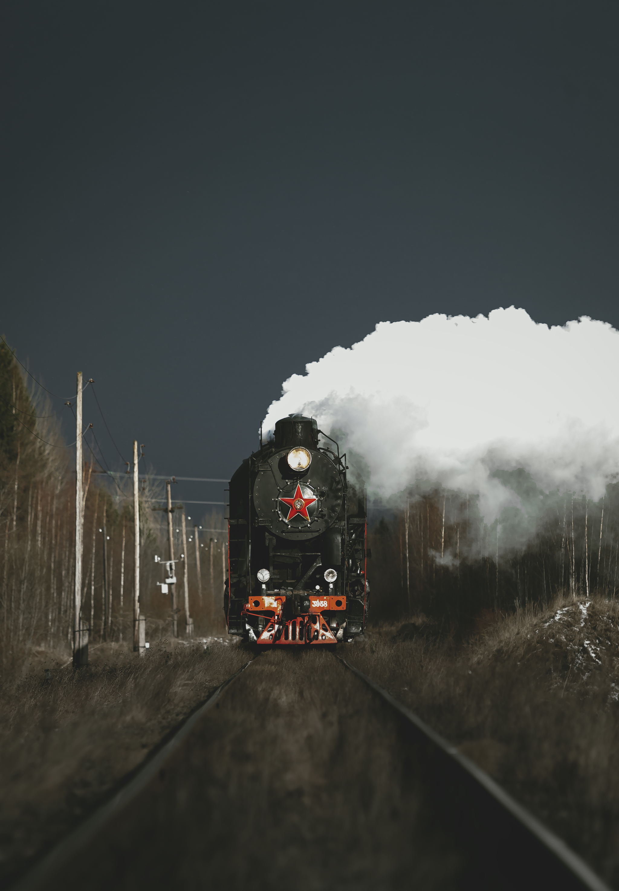 Give the park a boost! - My, Russia, Travels, The photo, A train, Locomotive, Railway, Oktyabrskaya Railway