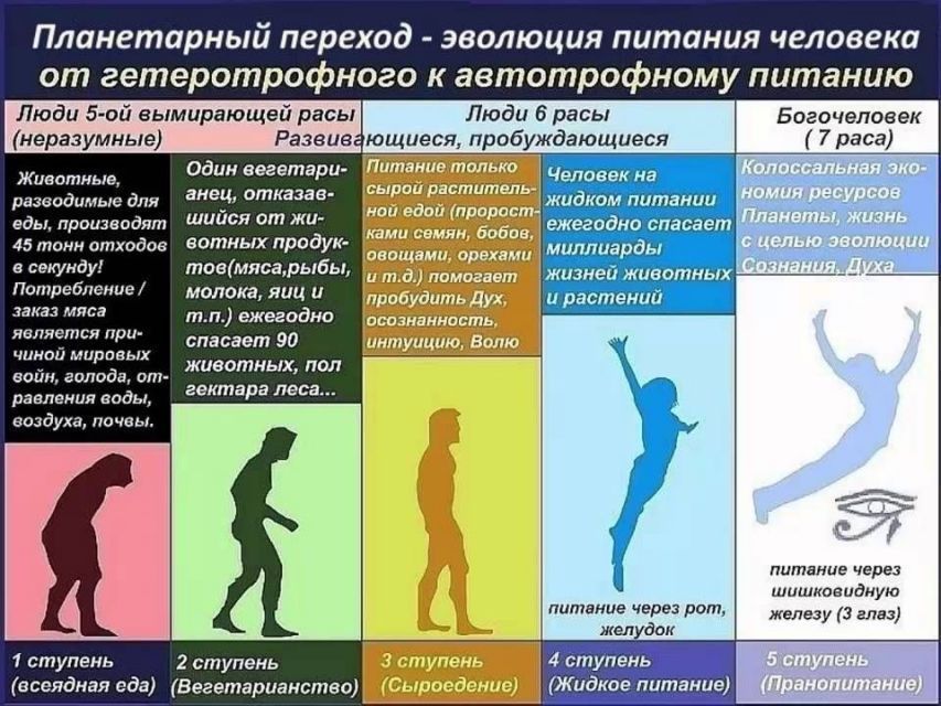 Праноеды - богочеловеки, питаются солнышком - Комментарии на Пикабу, Сыроедение, Праноедение, Длиннопост