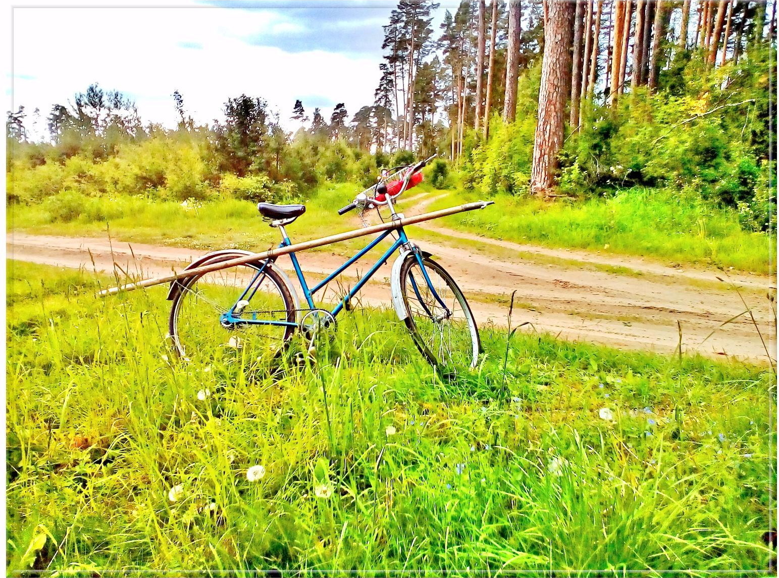 June 3 is World Bicycle Day! - My, A bike, Holidays, Seasons, Longpost