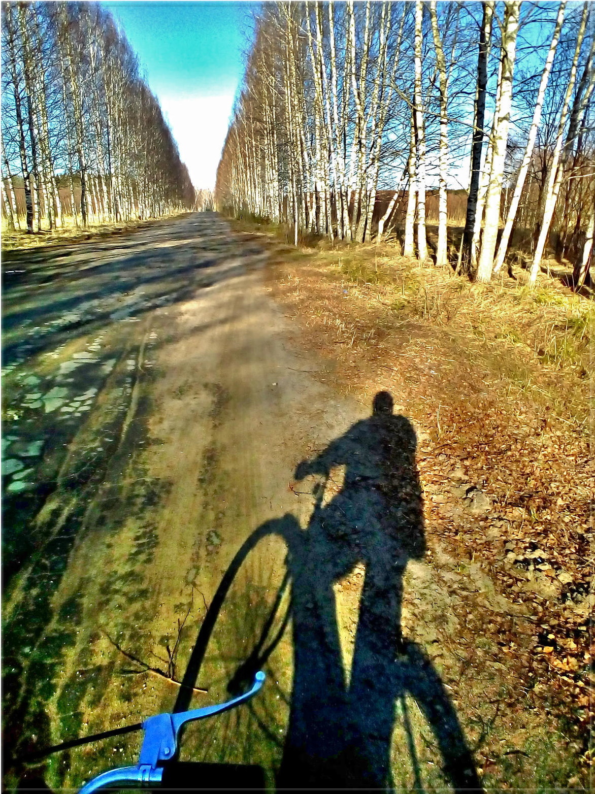 June 3 is World Bicycle Day! - My, A bike, Holidays, Seasons, Longpost