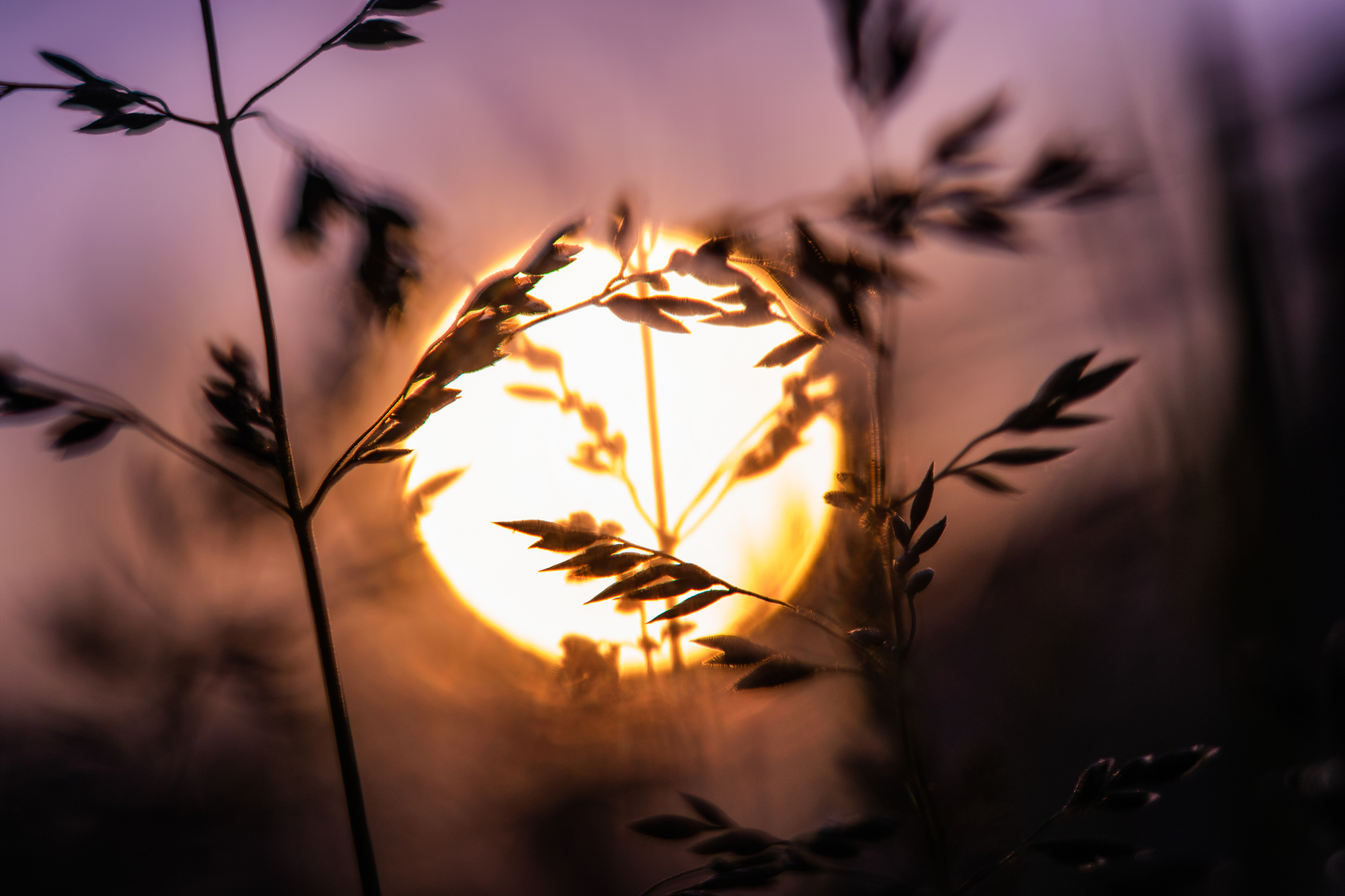 Warm evening in Chelyabinsk - My, The photo, Nikon, Soviet optics, Industar, Evening, Sunset, Chelyabinsk