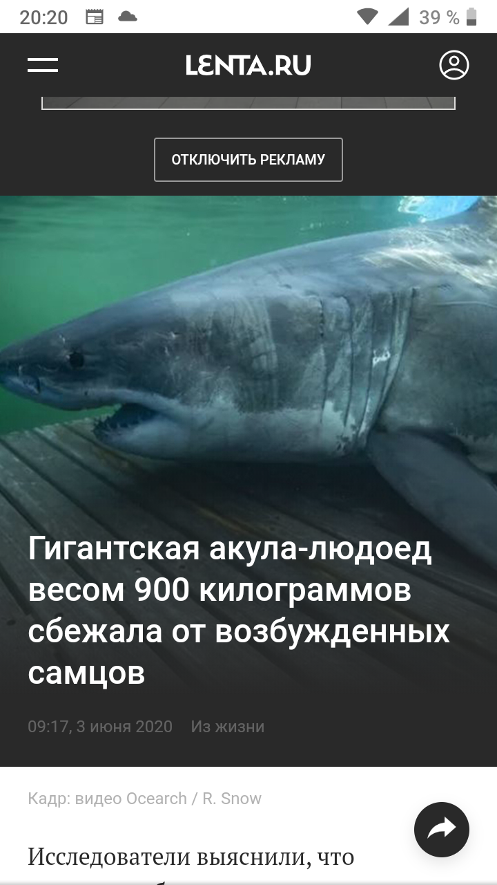 Everything about this title is great! - Shark, Funny name, news, Screenshot