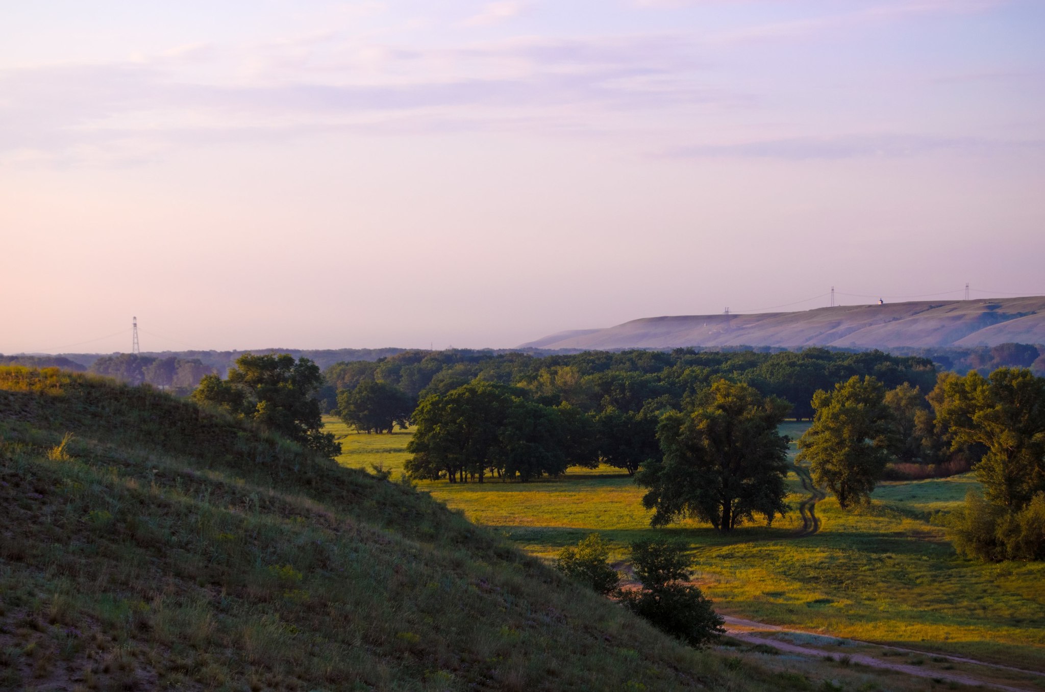 Nature of the Volgograd region - My, Volgograd region, Nature, Animals, Longpost