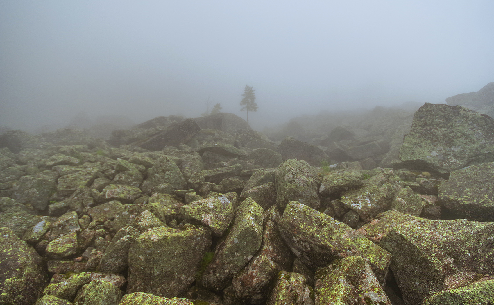 So I touched the clouds with my hands - Ergaki, Travels, Landscape, The photo, Fog, Holidays in Russia, Camping, Wild tourism, Longpost