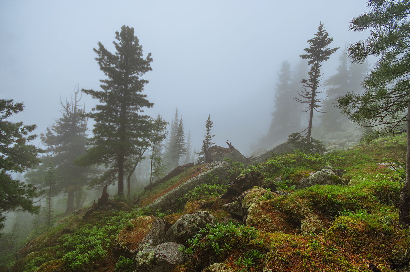 So I touched the clouds with my hands - Ergaki, Travels, Landscape, The photo, Fog, Holidays in Russia, Camping, Wild tourism, Longpost