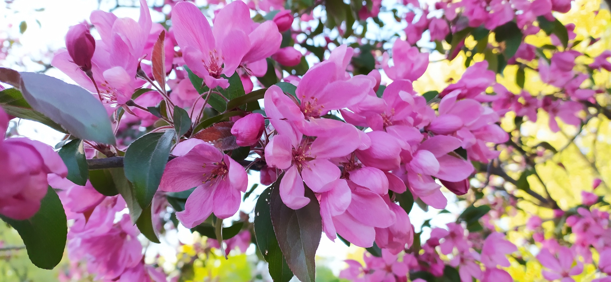 Весна | Пикабу