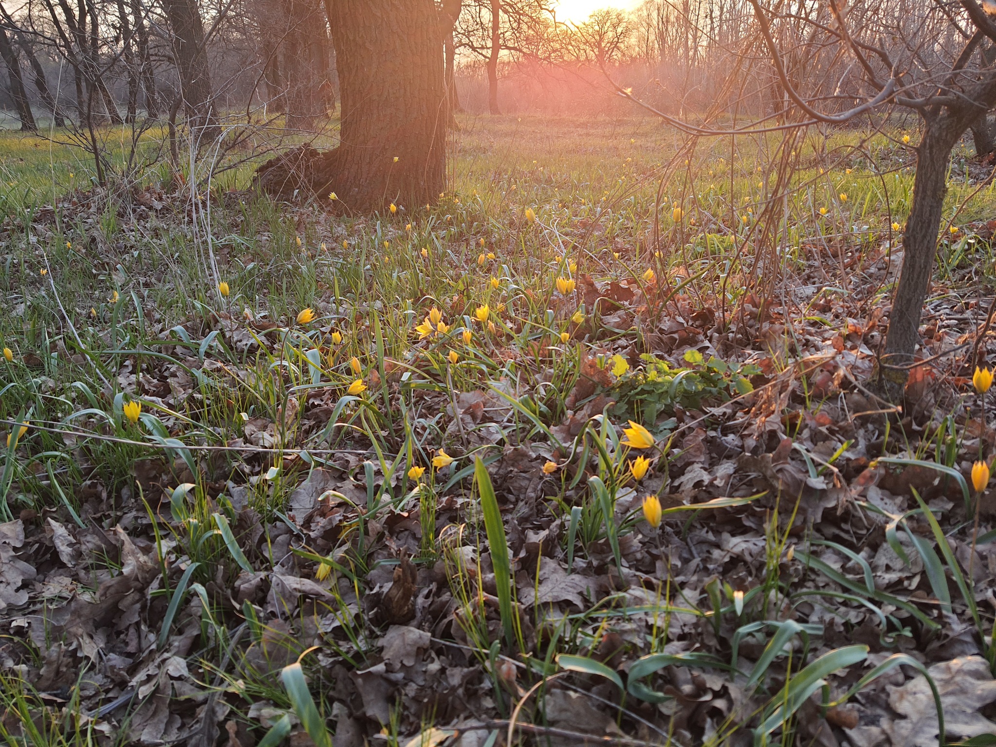 About the climate in Volgograd - My, Volgograd, Nature, Climate, Longpost