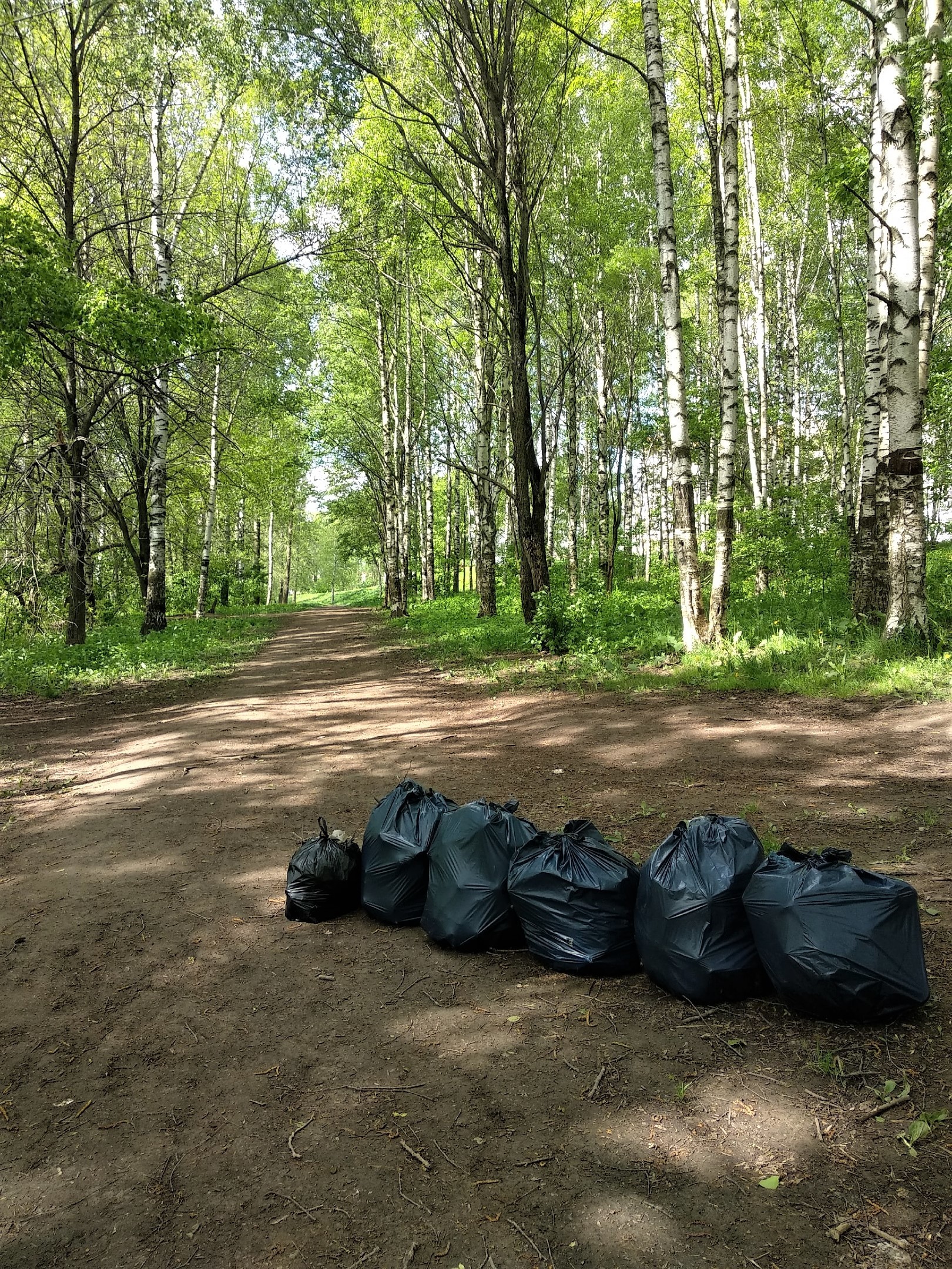 Another eco-walk through your favorite grove - My, Ecology, Don't litter!, Longpost