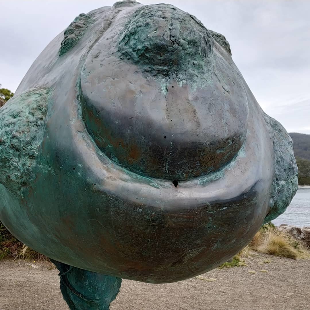 Whales smile too - My, Australia, Tasmania, Whale, Humor, Longpost