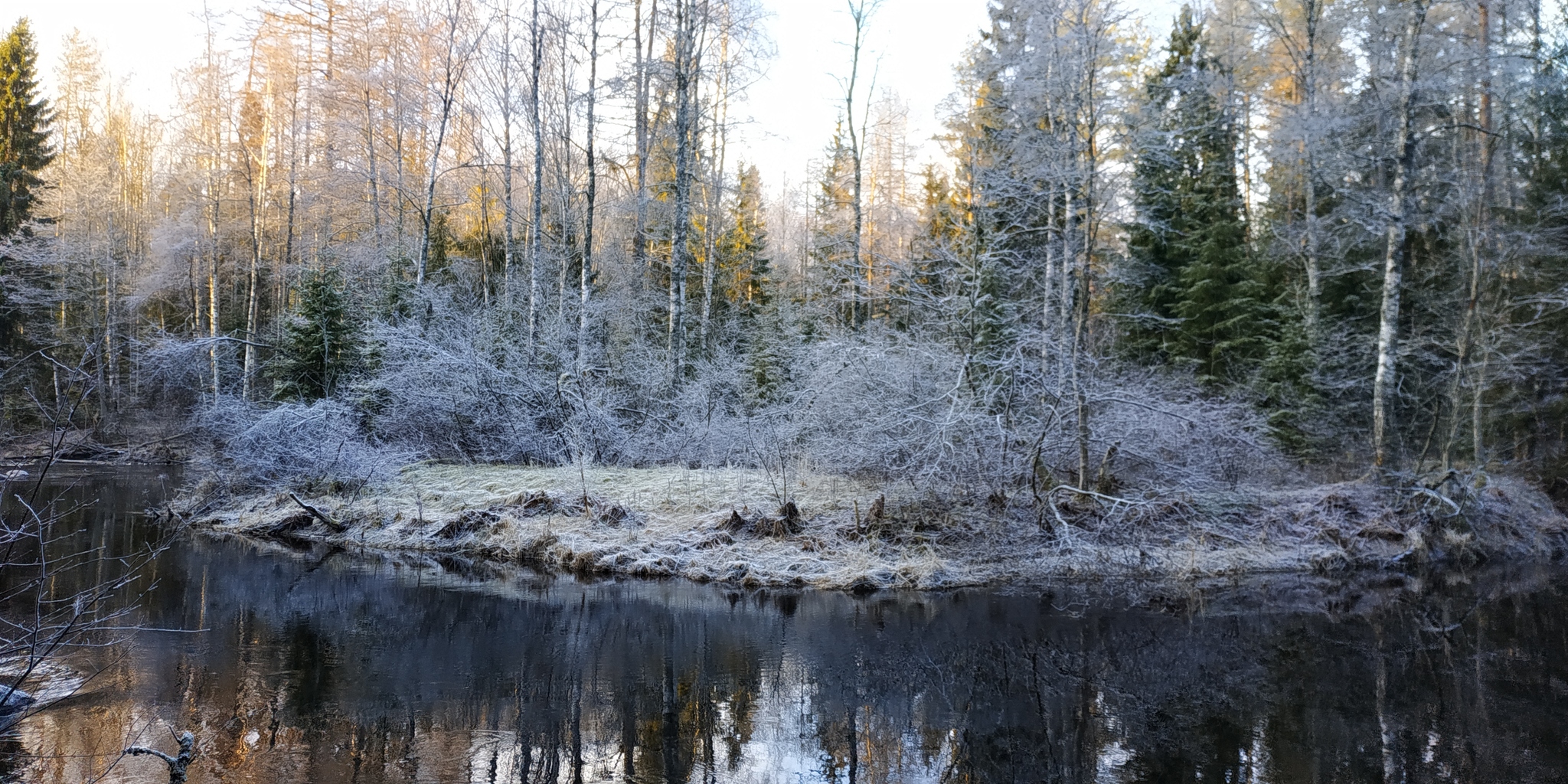 Lindulovskaya Grove this winter - My, Lindulovskaya grove, Karelian Isthmus, Longpost