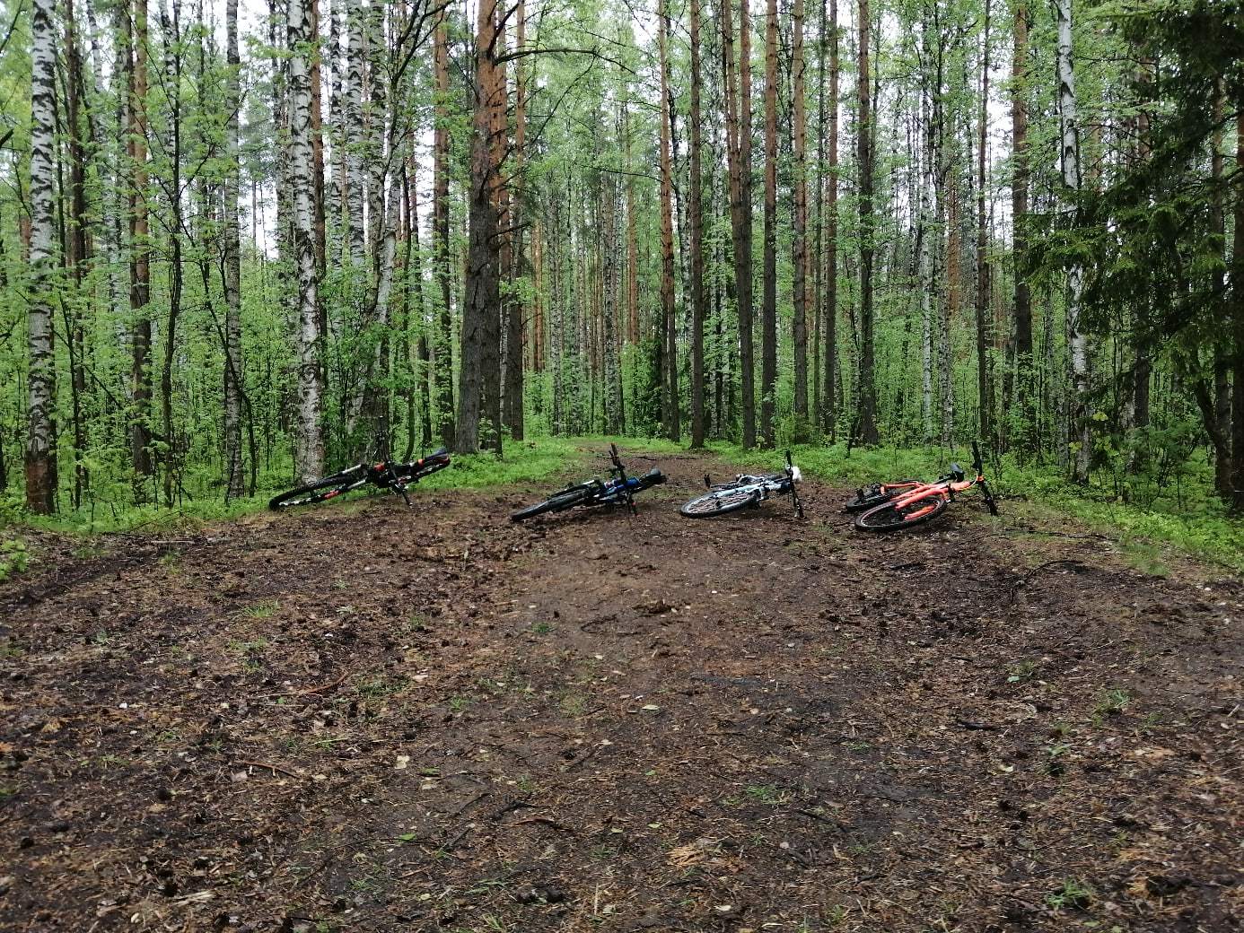 Скромные итоги насыщенного сезона - Моё, Велосипед, Покатушки, Санкт-Петербург, Приключения, Друзья, Видео, Длиннопост