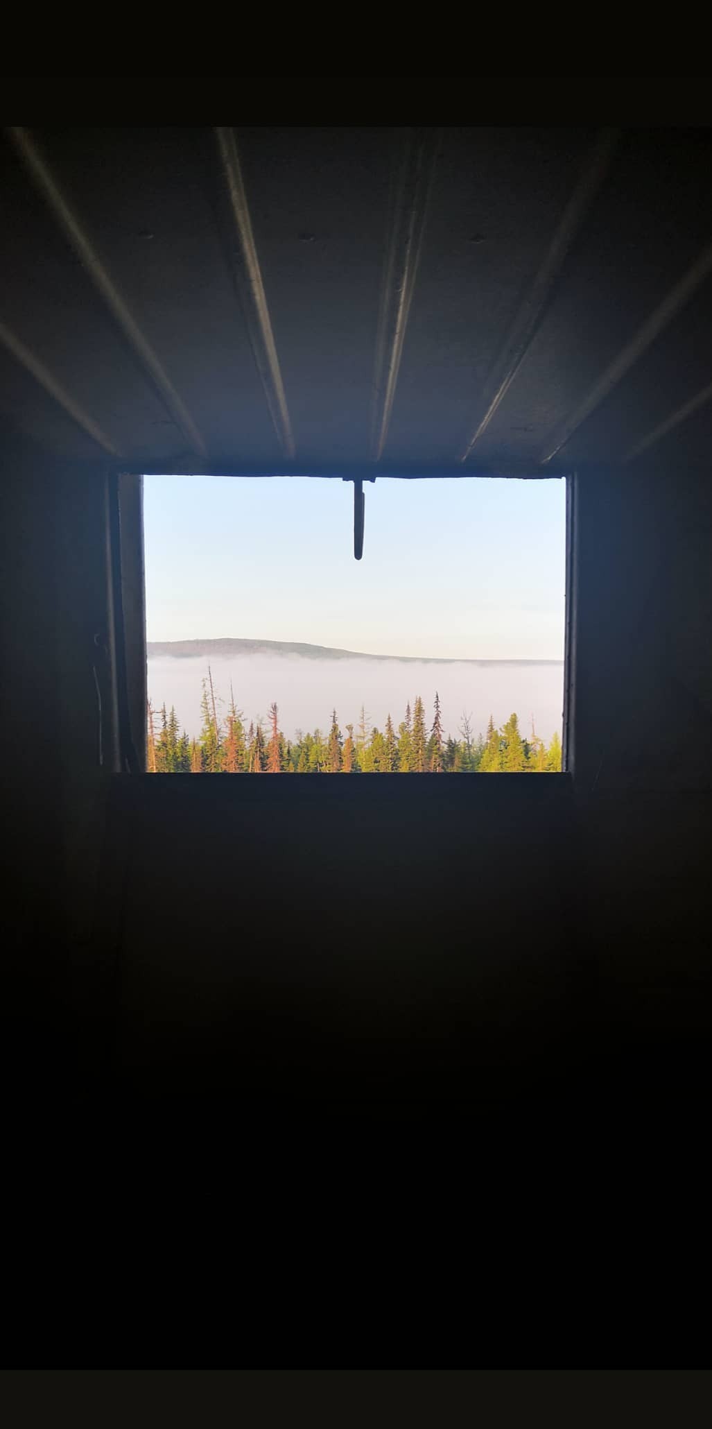 Morning - My, Window, Forest, Morning, Fog, The photo