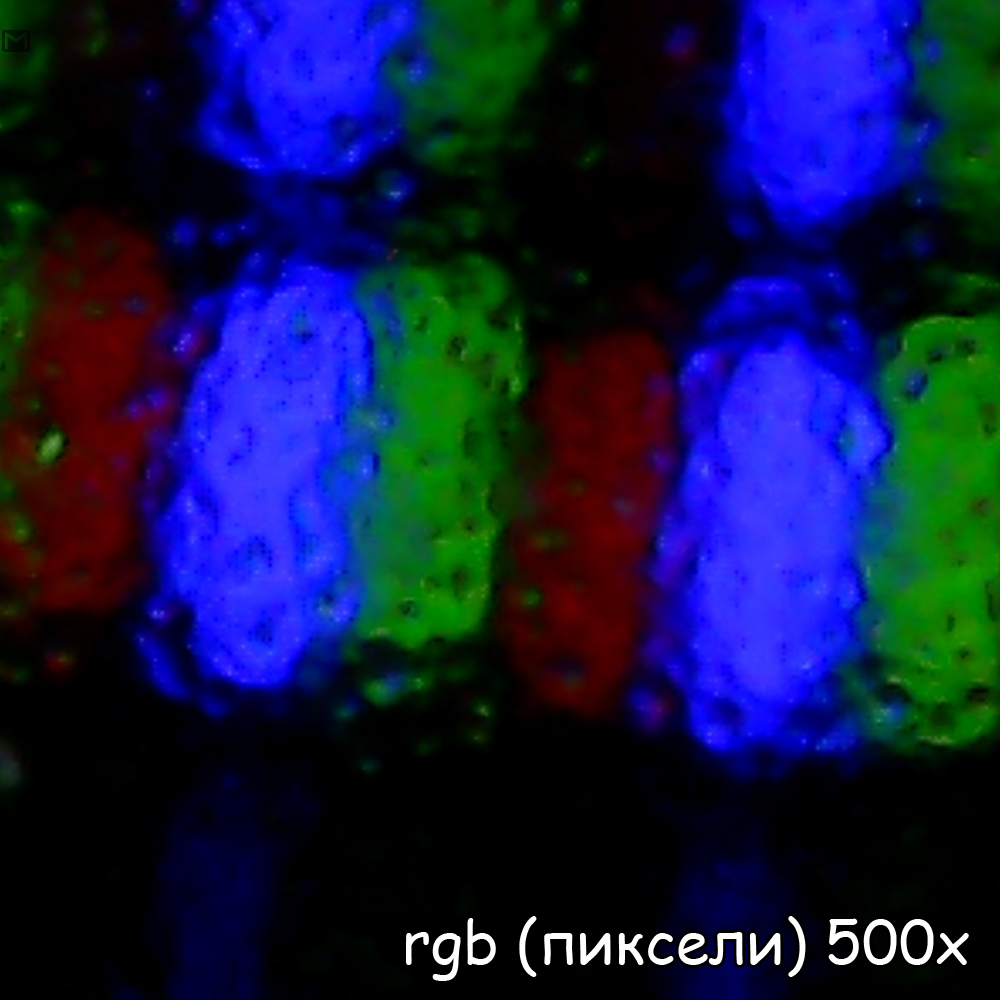 Рассмотреть всё - Микроскоп, Насекомые, Тараканы, Муравьи, Муха, Ткань, Гифка, Длиннопост, Микросъемка