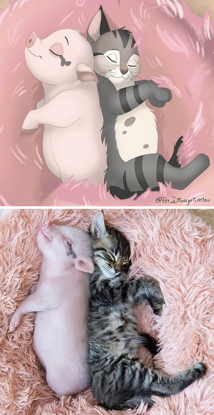 People send photos of pets to this artist to turn them into cartoon characters - Pets, Drawing, Longpost, Dog, cat, Milota