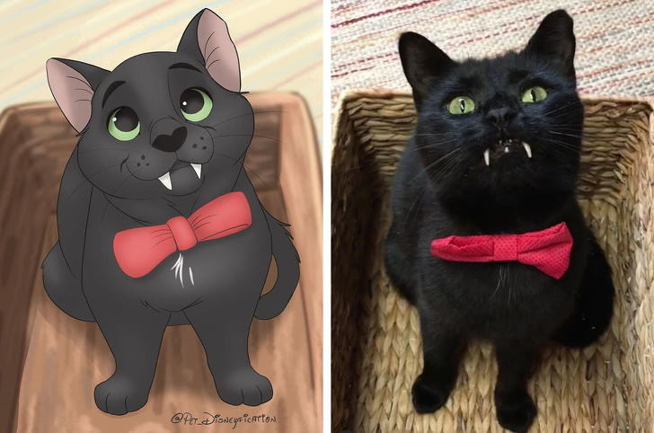 People send photos of pets to this artist to turn them into cartoon characters - Pets, Drawing, Longpost, Dog, cat, Milota