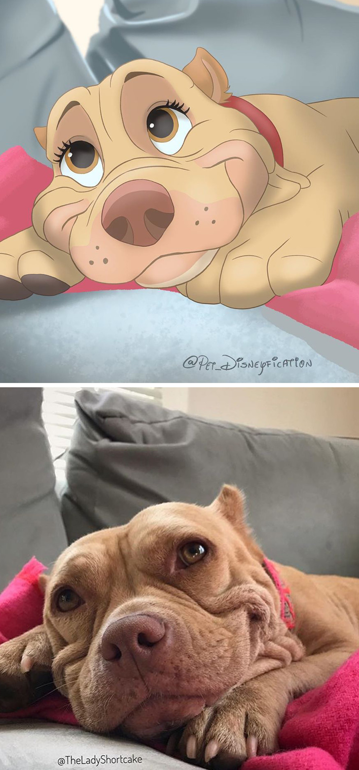 People send photos of pets to this artist to turn them into cartoon characters - Pets, Drawing, Longpost, Dog, cat, Milota