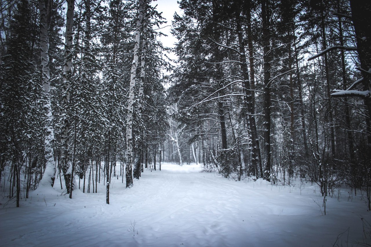 Ural winter - My, Nature, The nature of Russia, Winter, Sverdlovsk region, Longpost