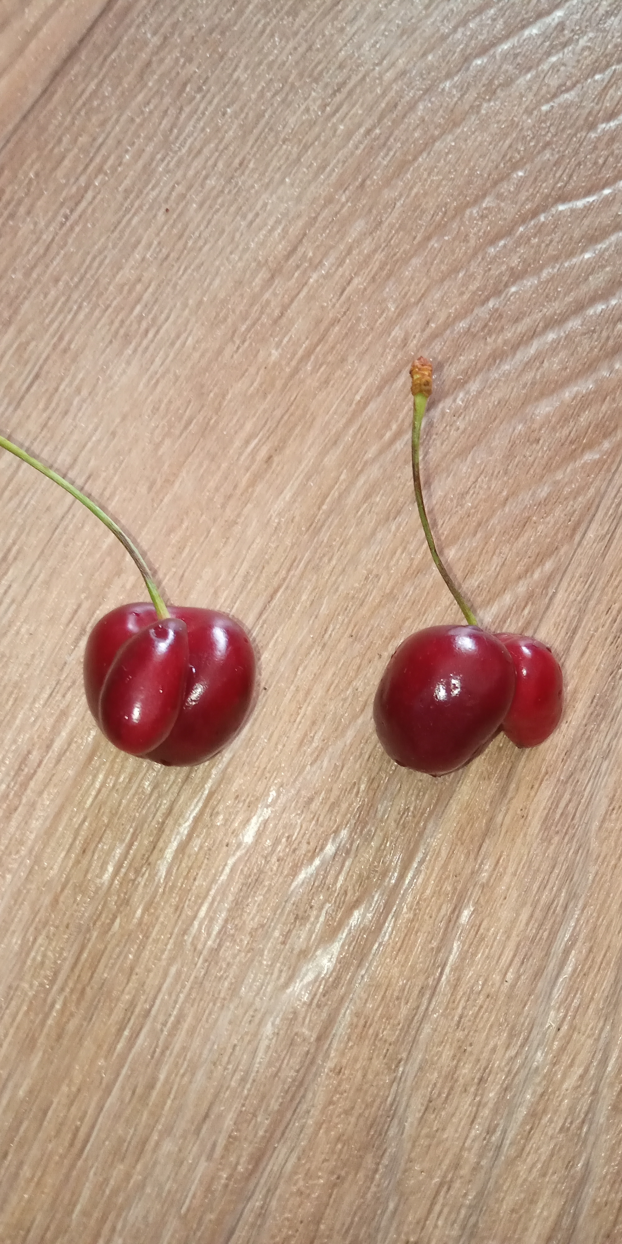 Cherries are for adults only! - My, Cherries, Berries, Mutation, Longpost, Pareidolia