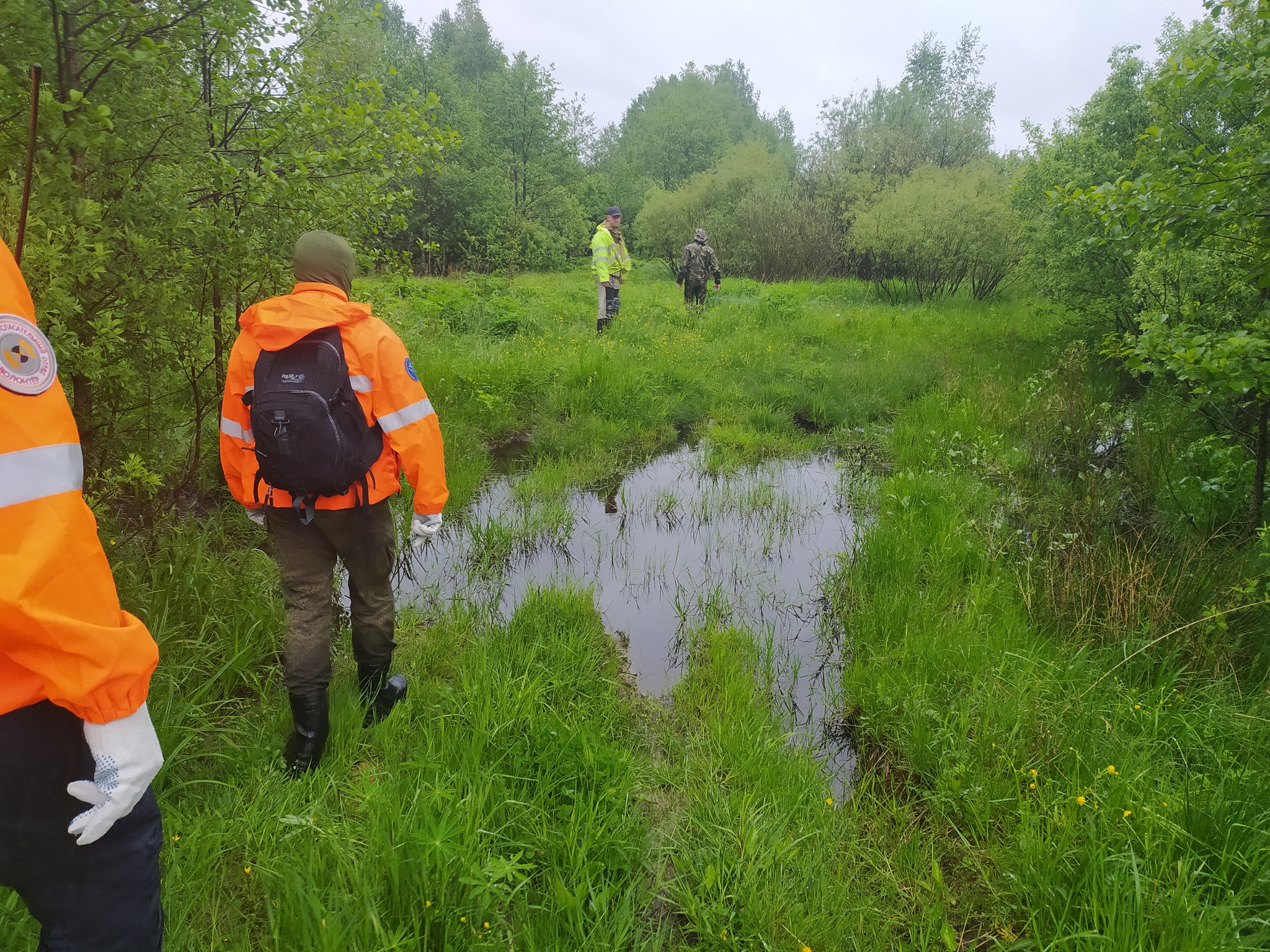 The forest season has opened. (Volunteer about the search) - My, People search, Missing person, Volunteering, Volunteer stories, Longpost