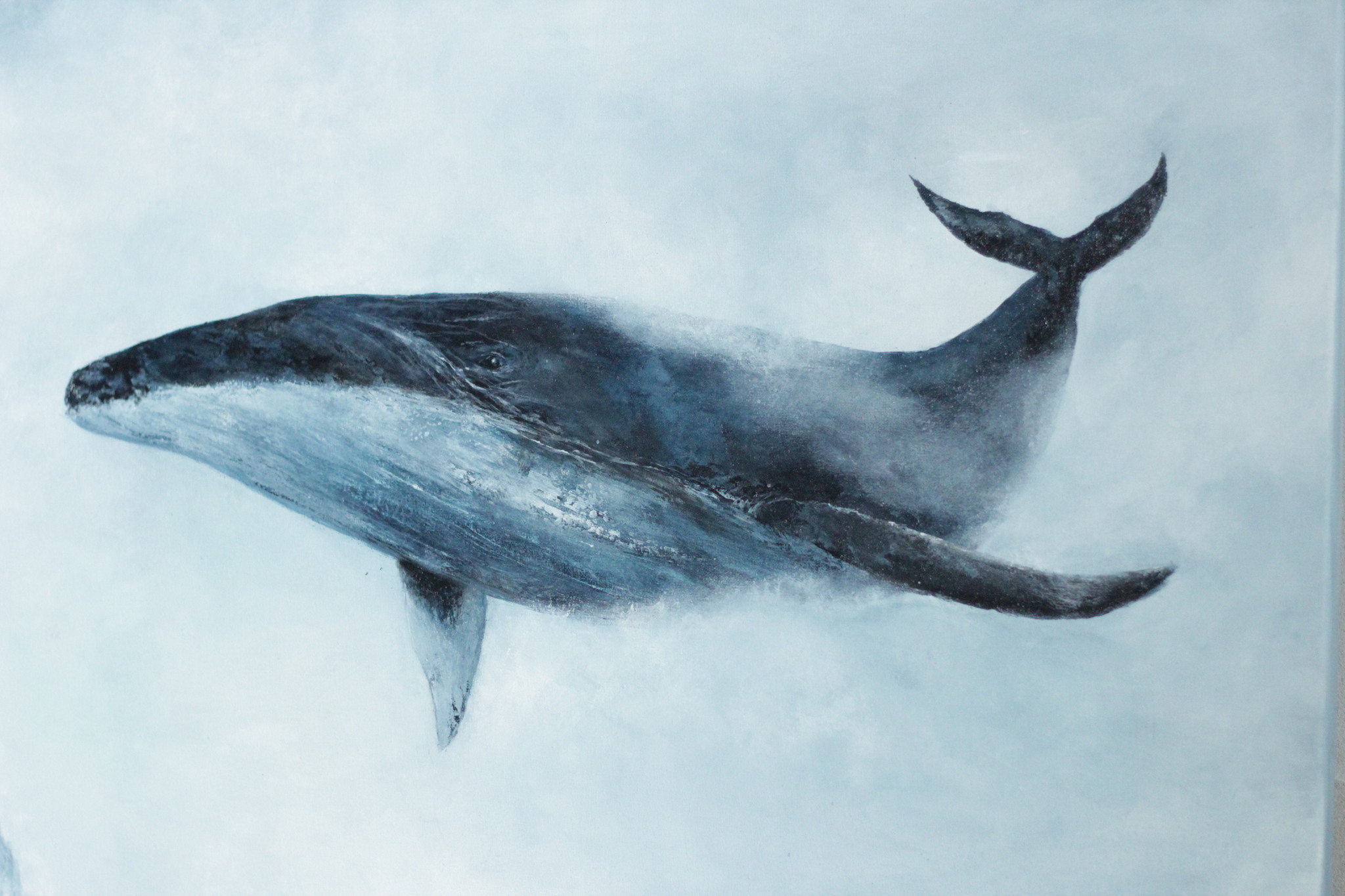 Фото кита нарисованного