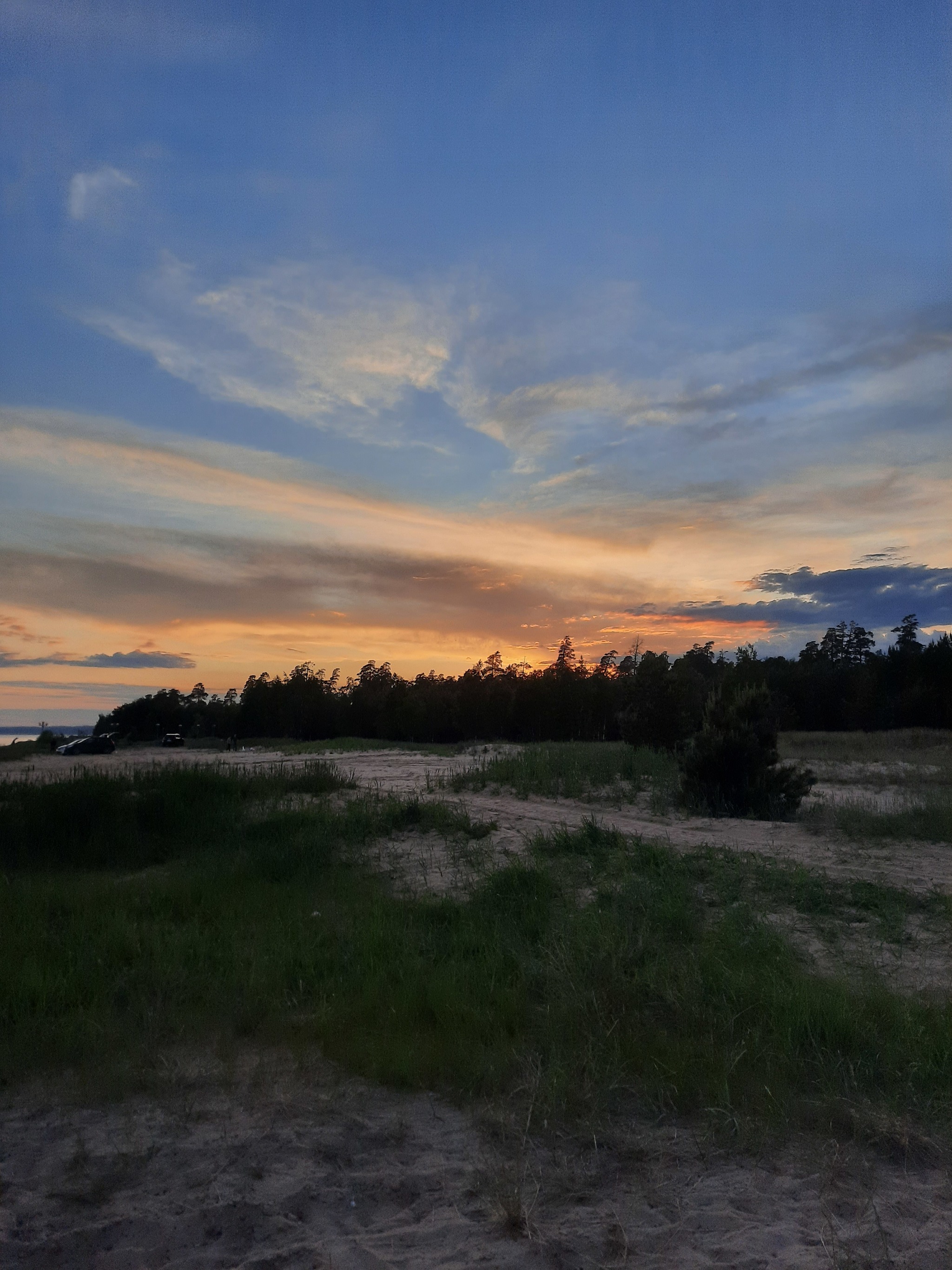 Sunset near the Volga - My, Sunset, Pine, Volga river