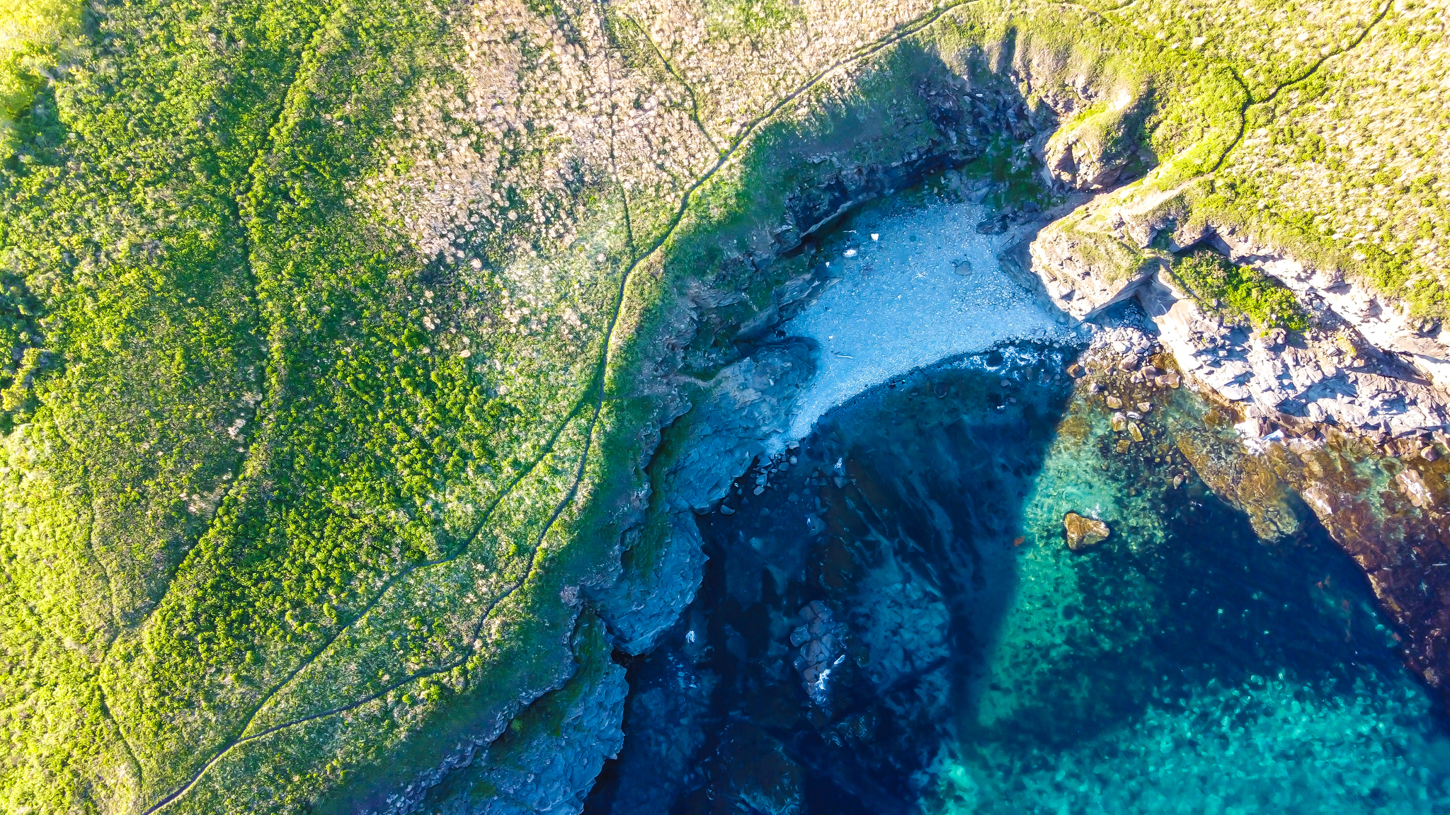 SELF-ISOLATION MODE, Vladivostok. Sable Bay! - Self-isolation, Pass mode, Vladivostok, Russian island, Primorsky Krai, Sea, Japanese Sea, Video, Longpost